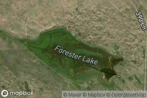 Forester Lake