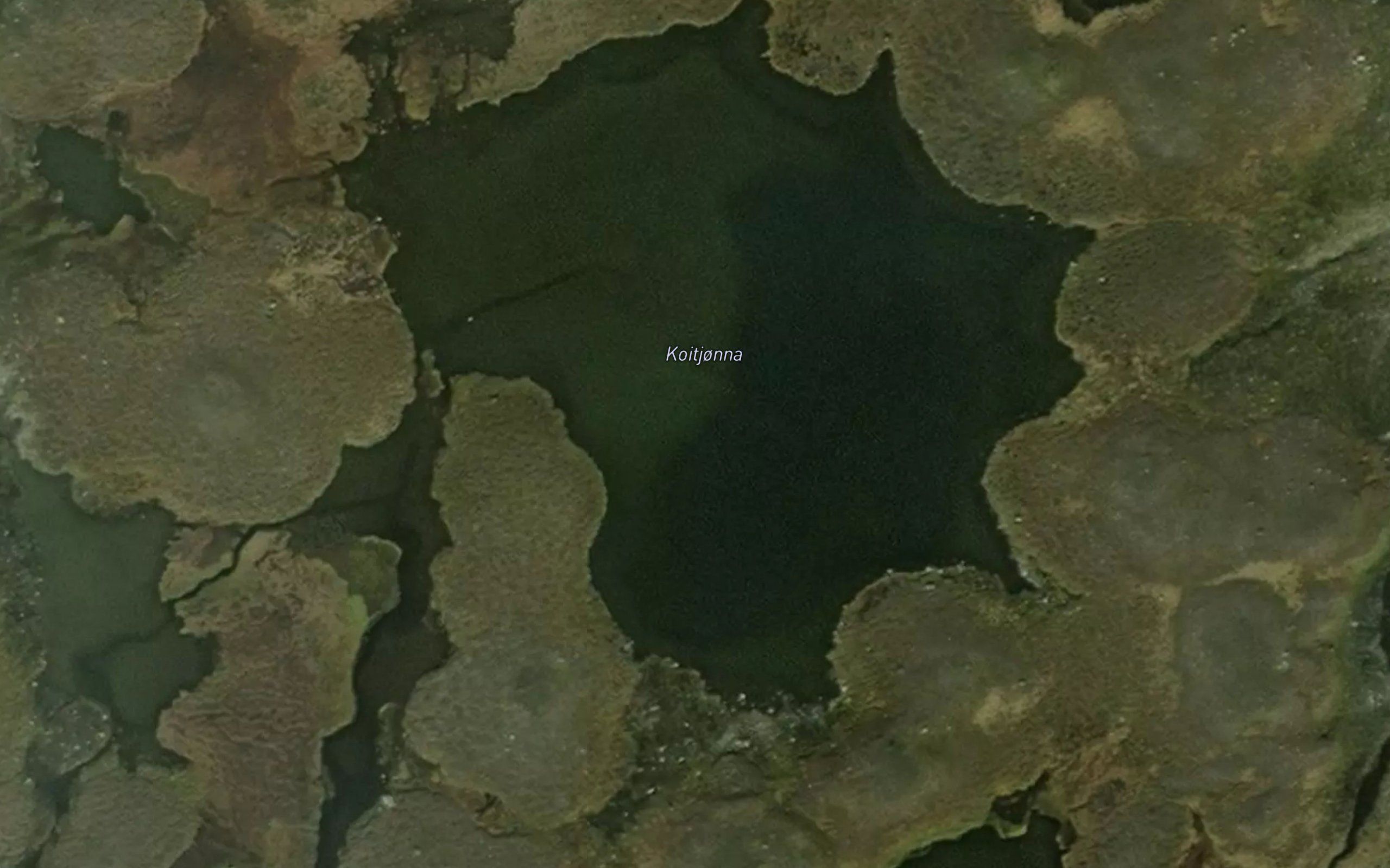 Koitjorna