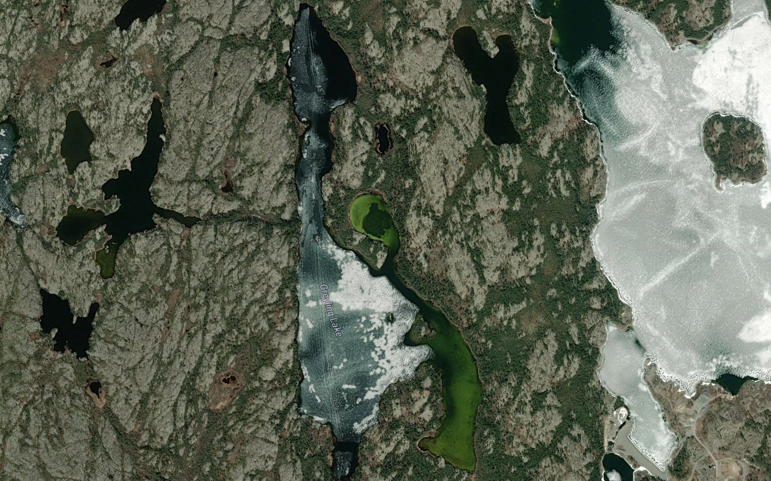 Greyling Lake