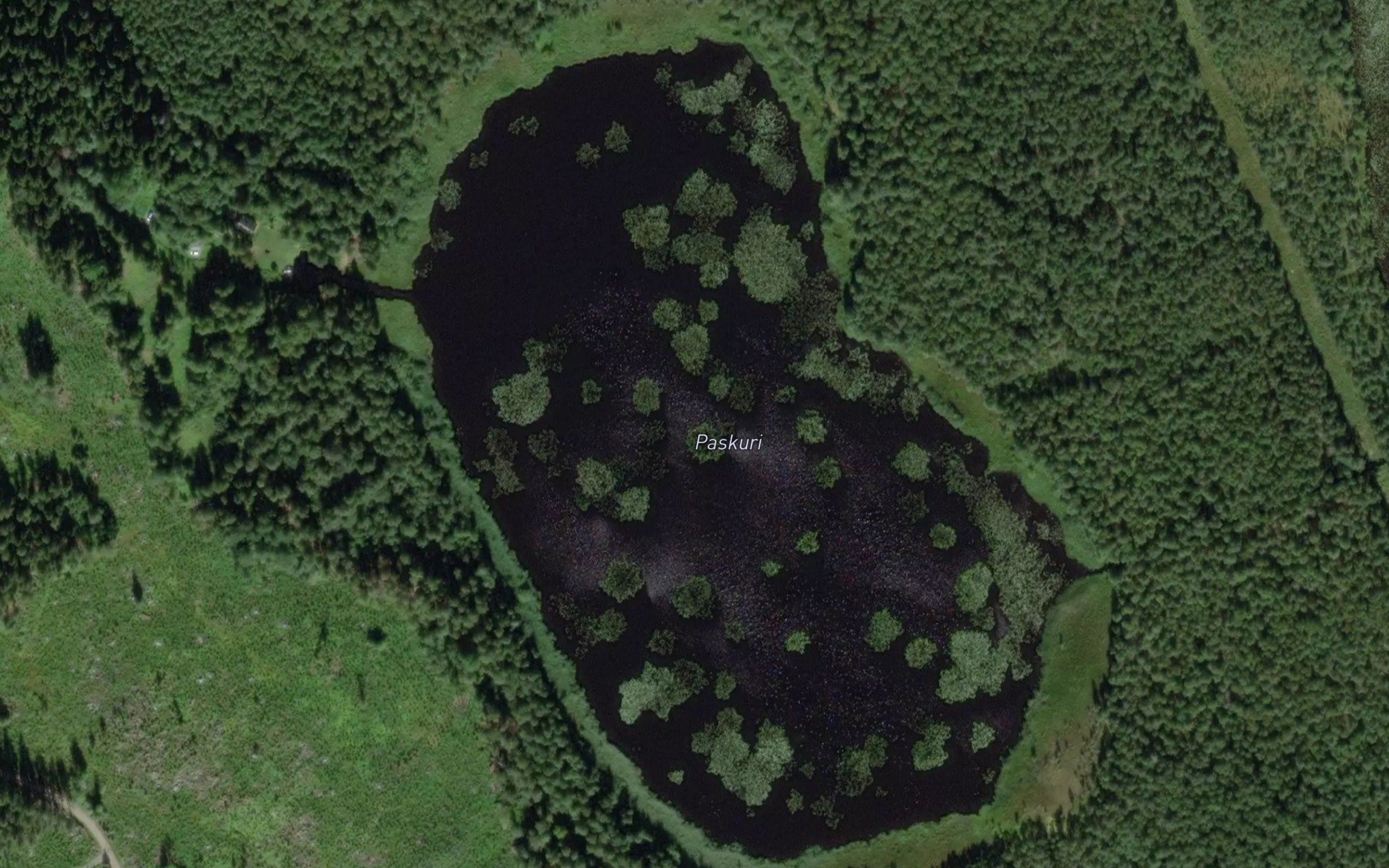 Paskuri