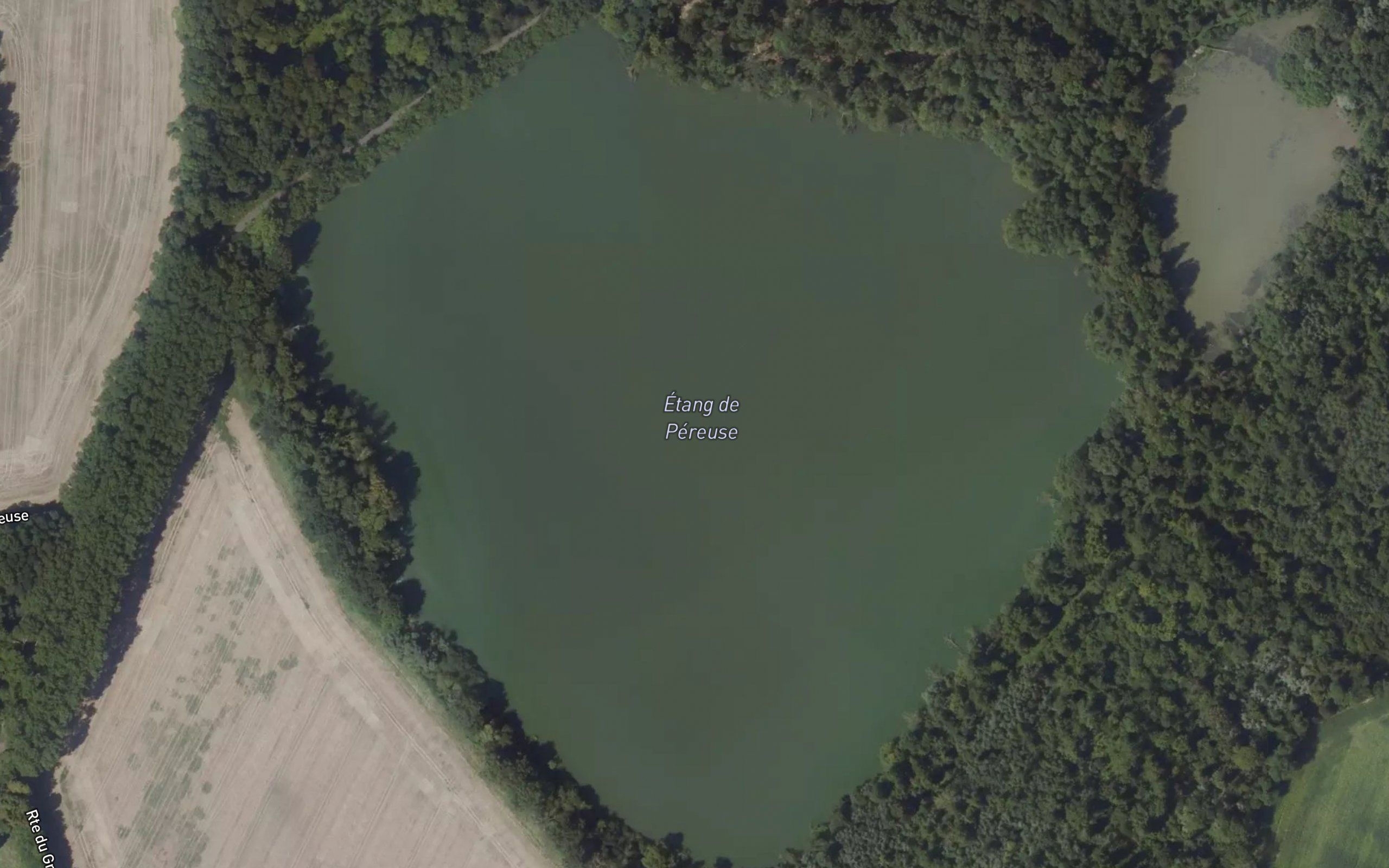 Etang de Pereuse