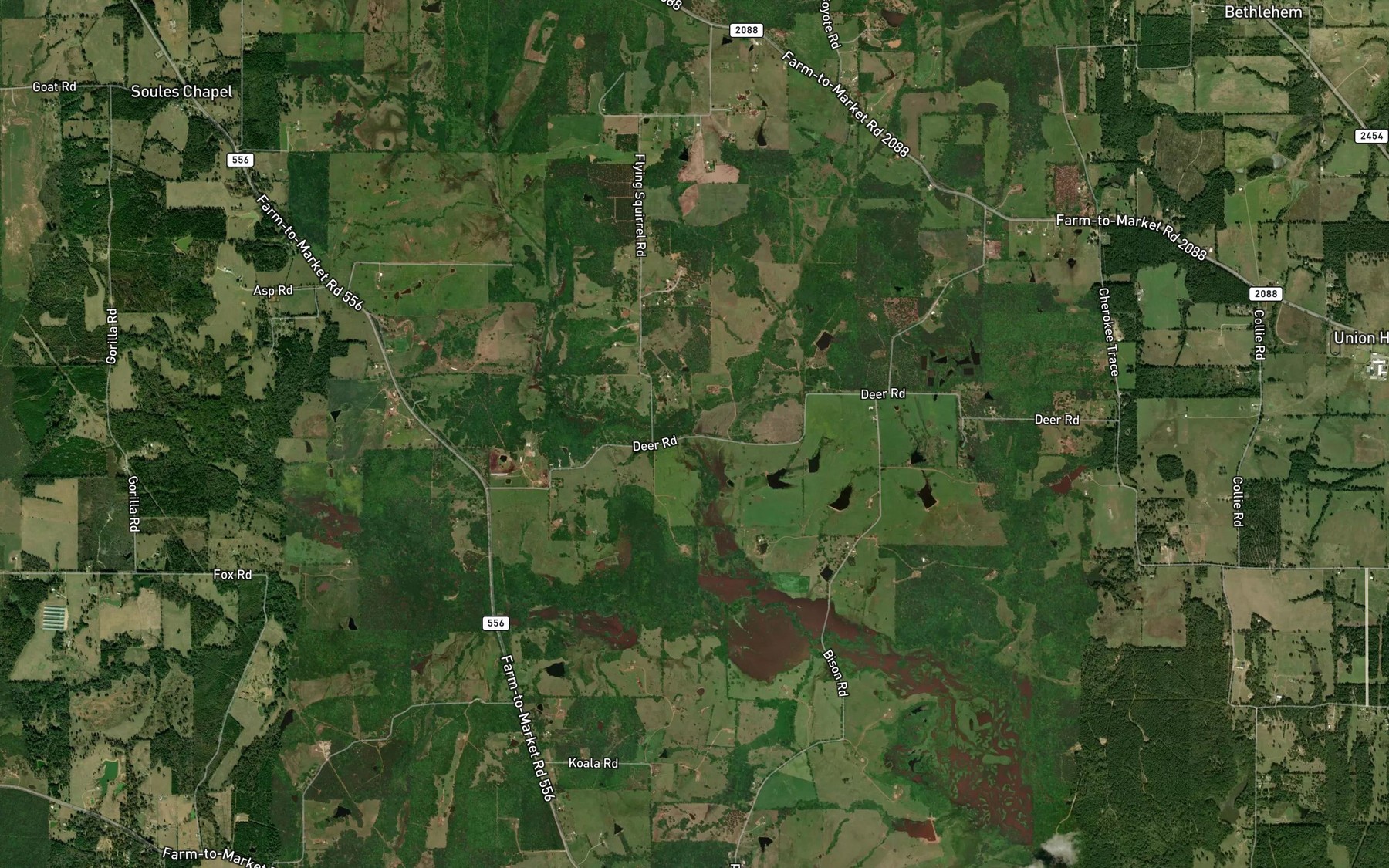 Satellite map of the Johnson Branch