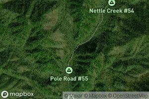 Left Fork Deep Creek