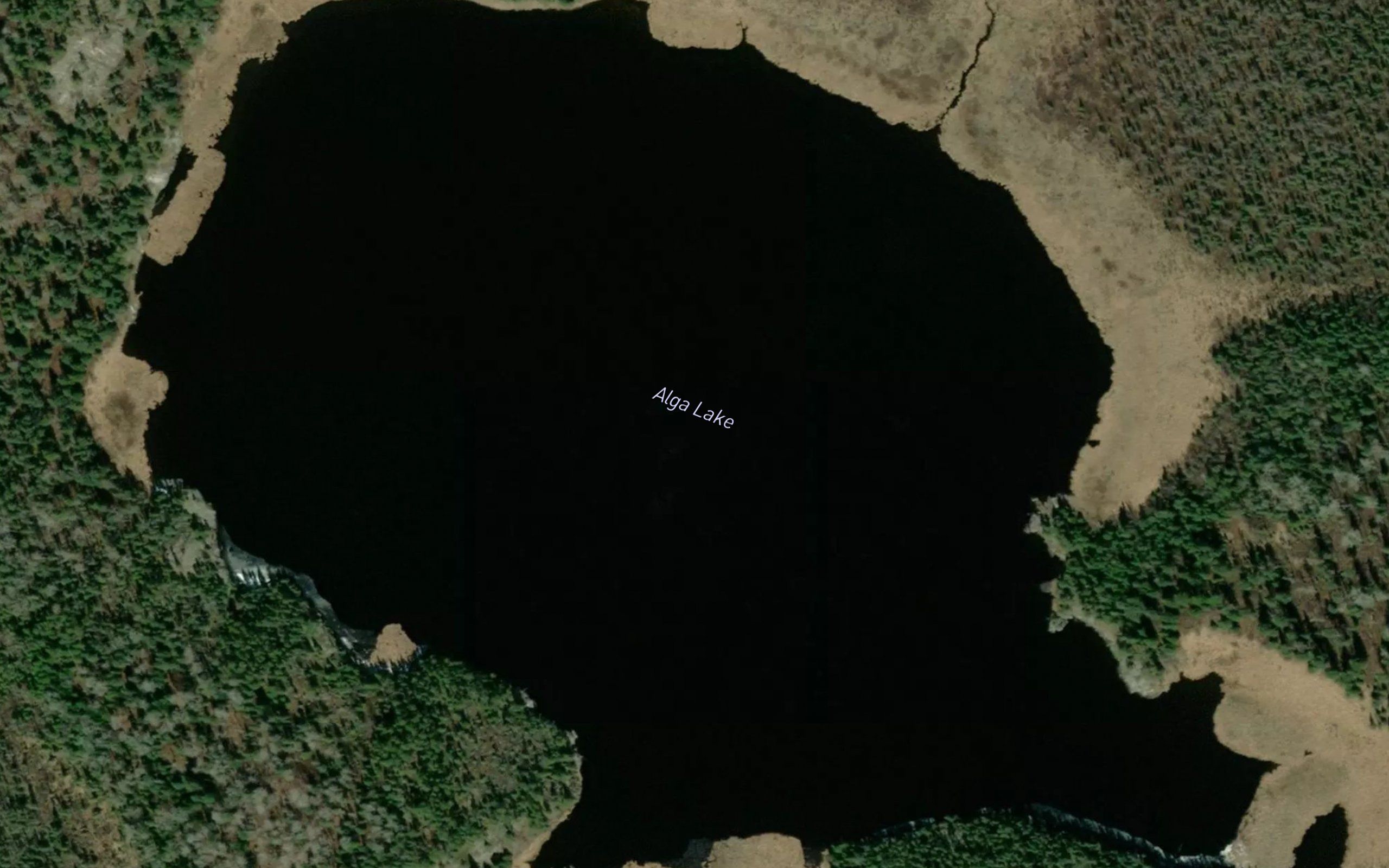 Alga Lake