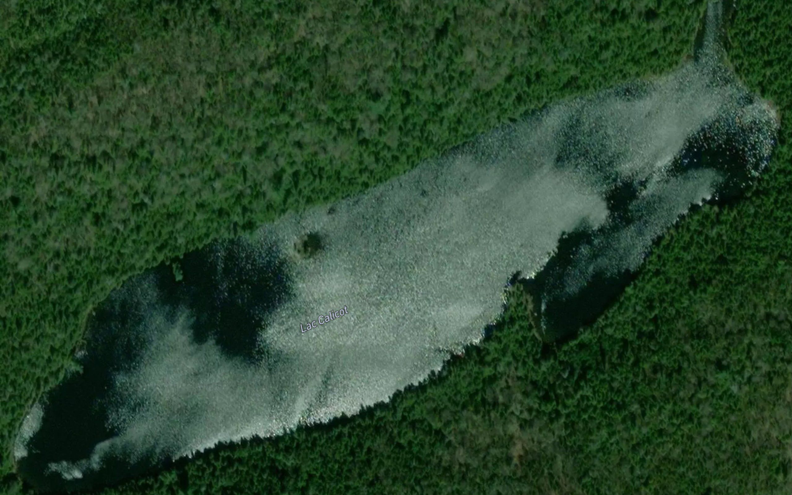Lac Calicot