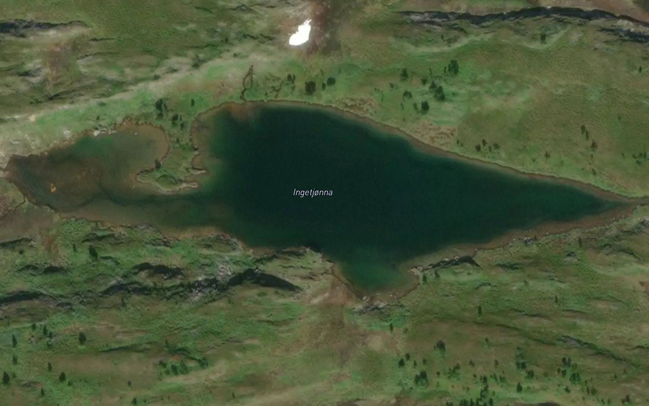 Ingetjorna