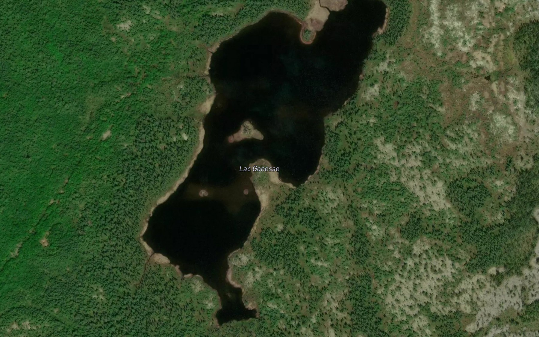 Satellite map of the Lac Gonesse