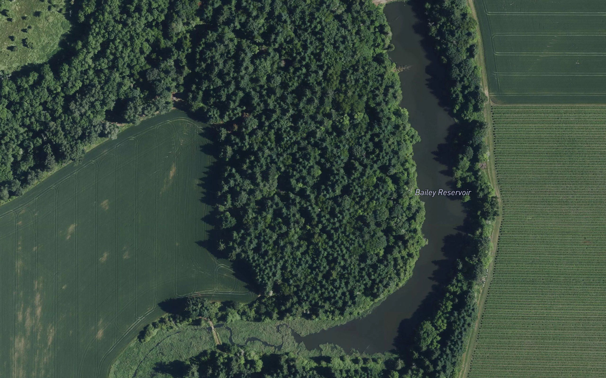 Bailey Reservoir