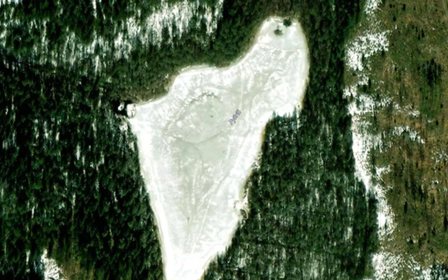 Satellite map of the Pyorio