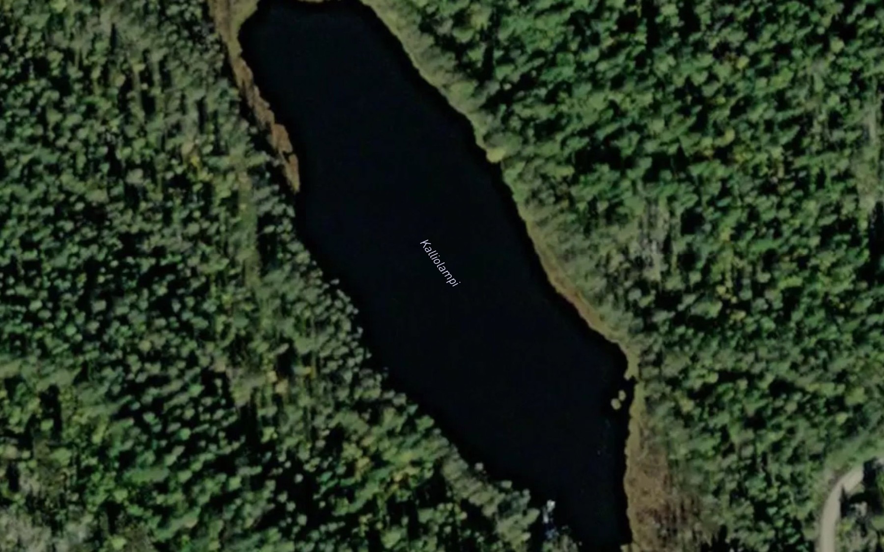 Satellite map of the Kalliolampi