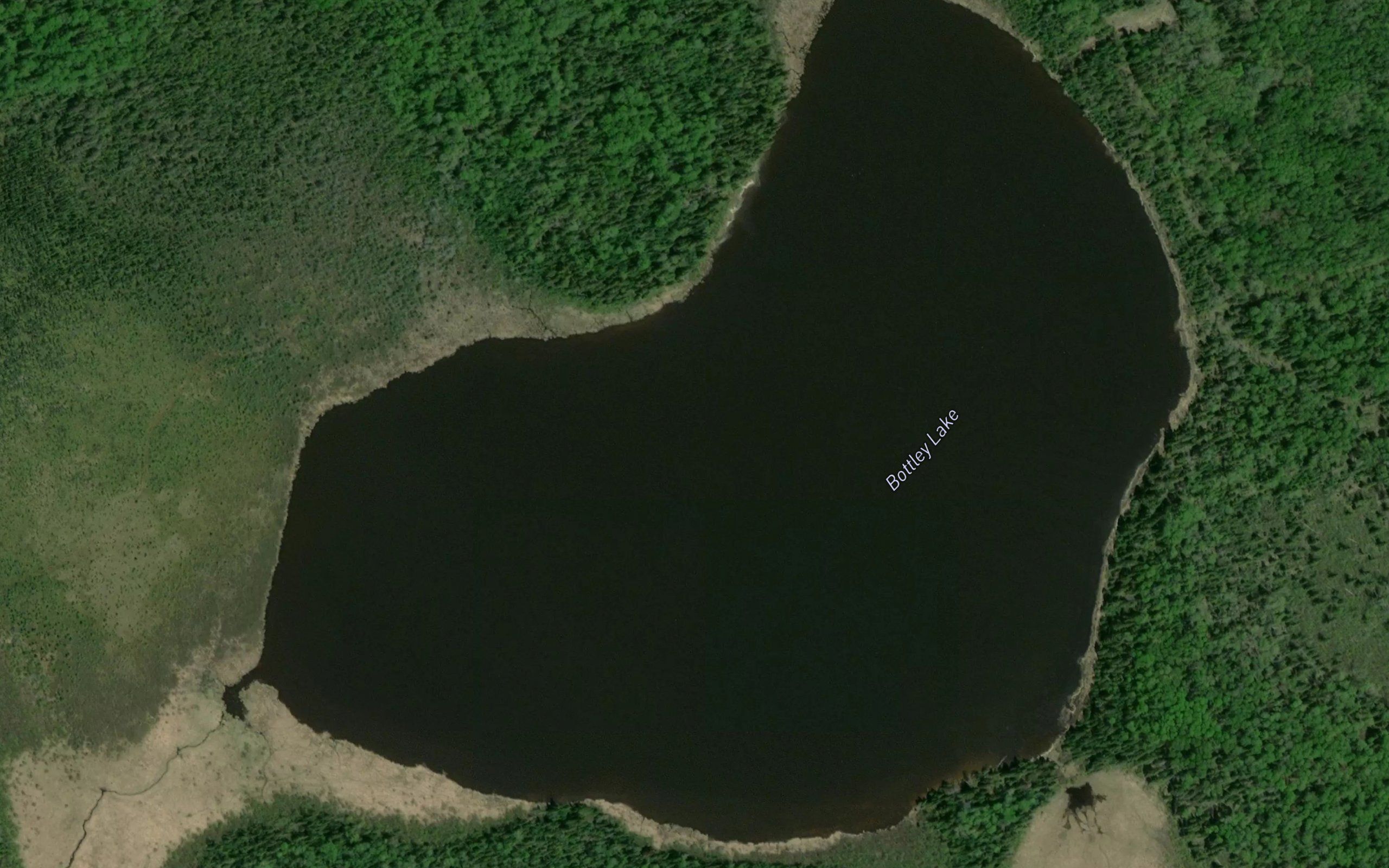 Bottley Lake