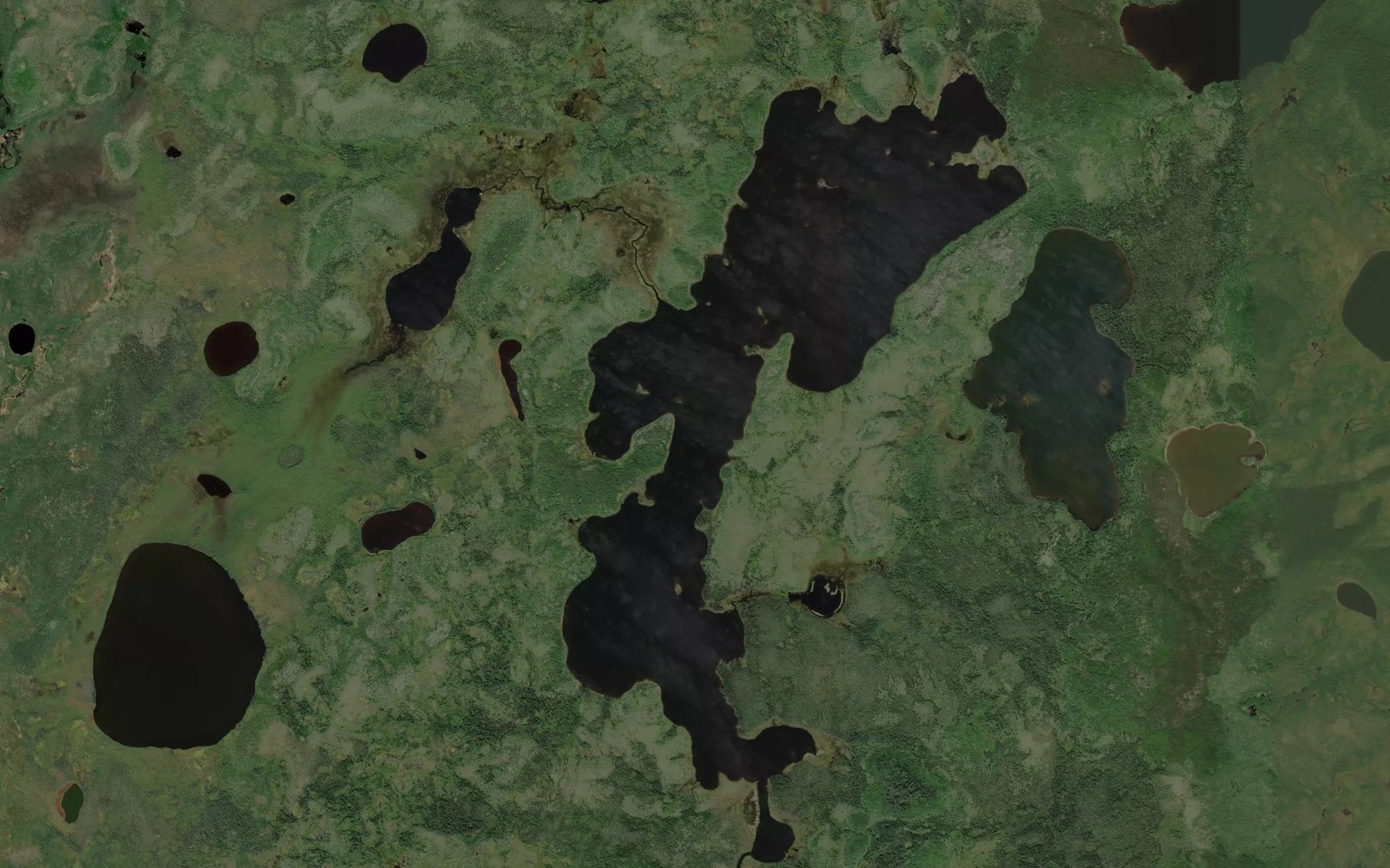 Satellite map of the Warnock Lake