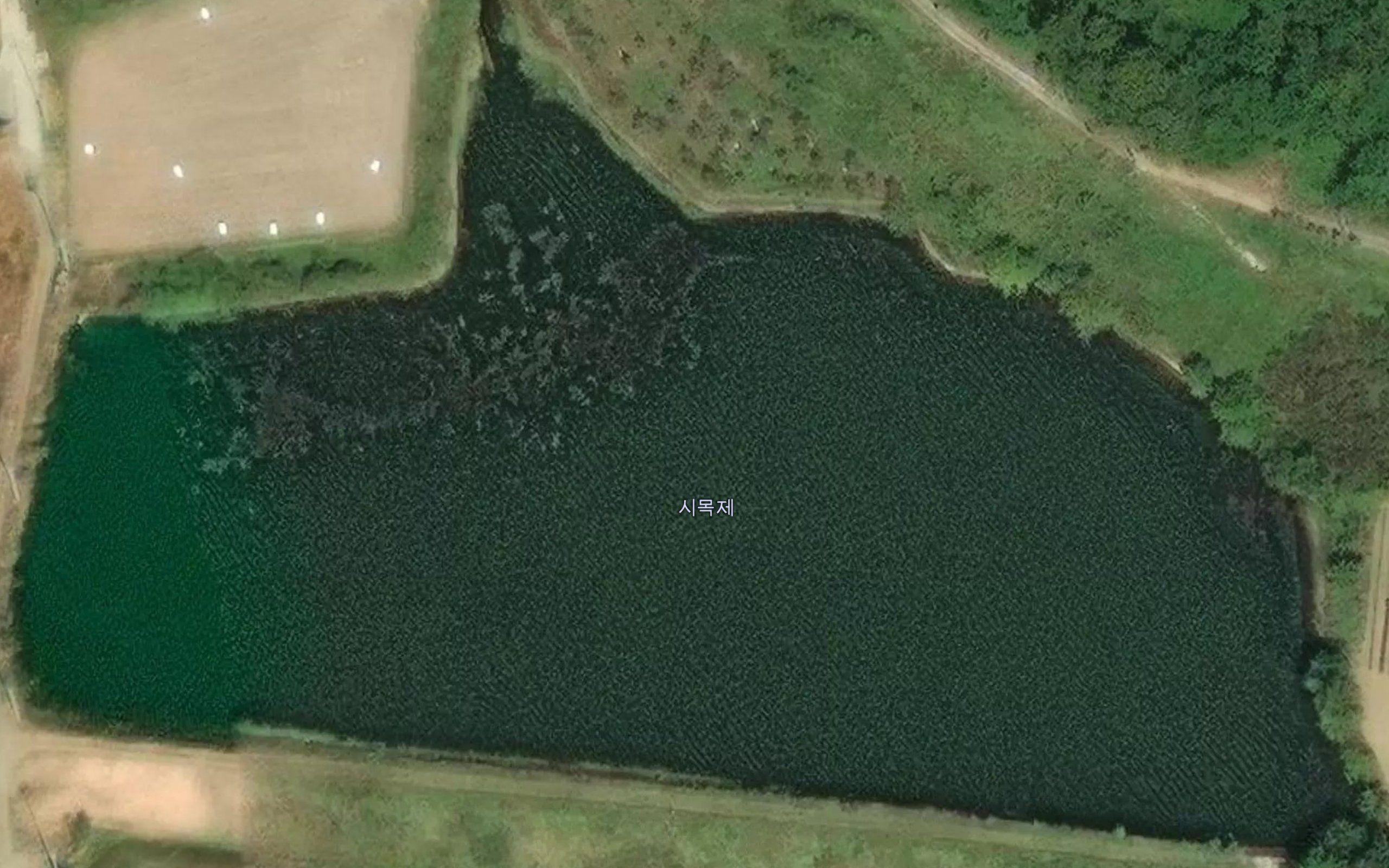 Simokje