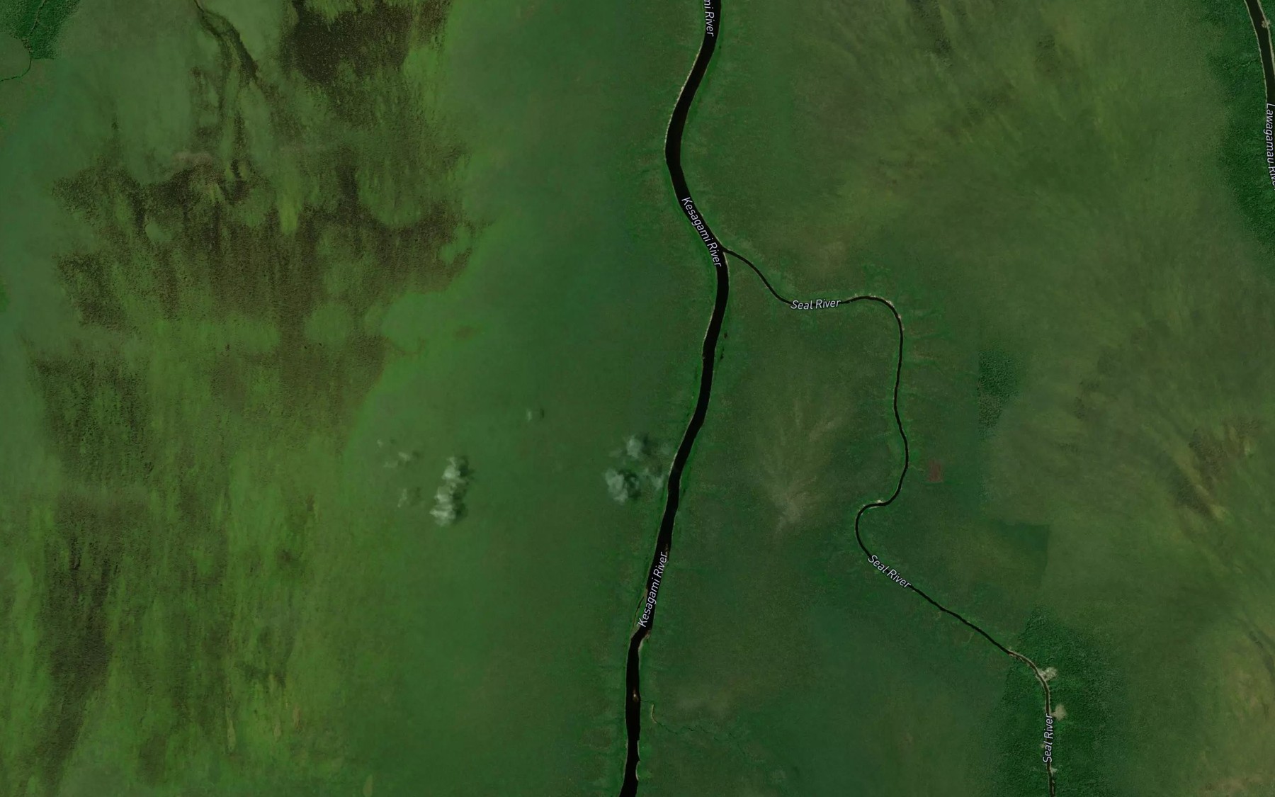 Satellite map of the Seal River