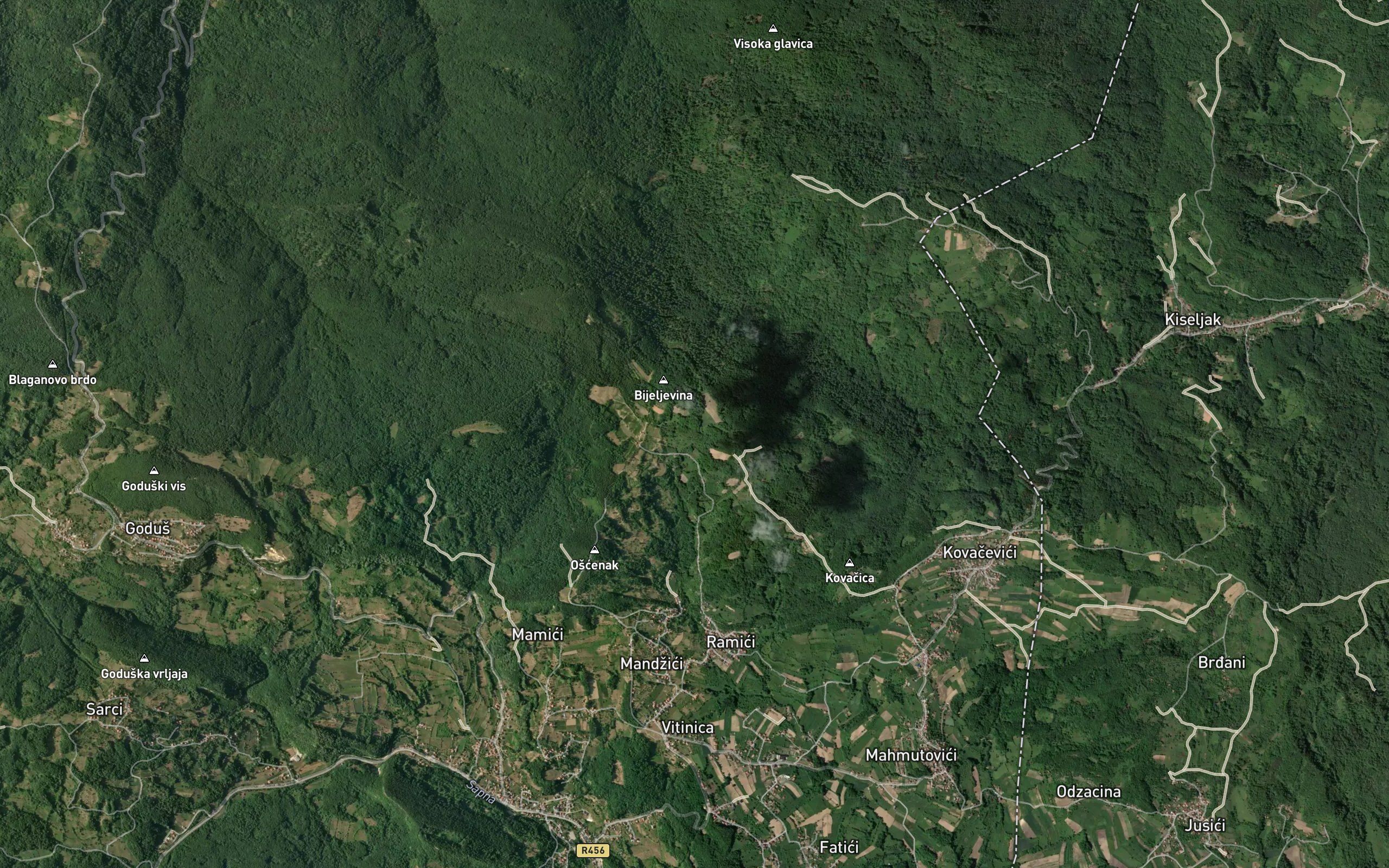 Osmanaginica