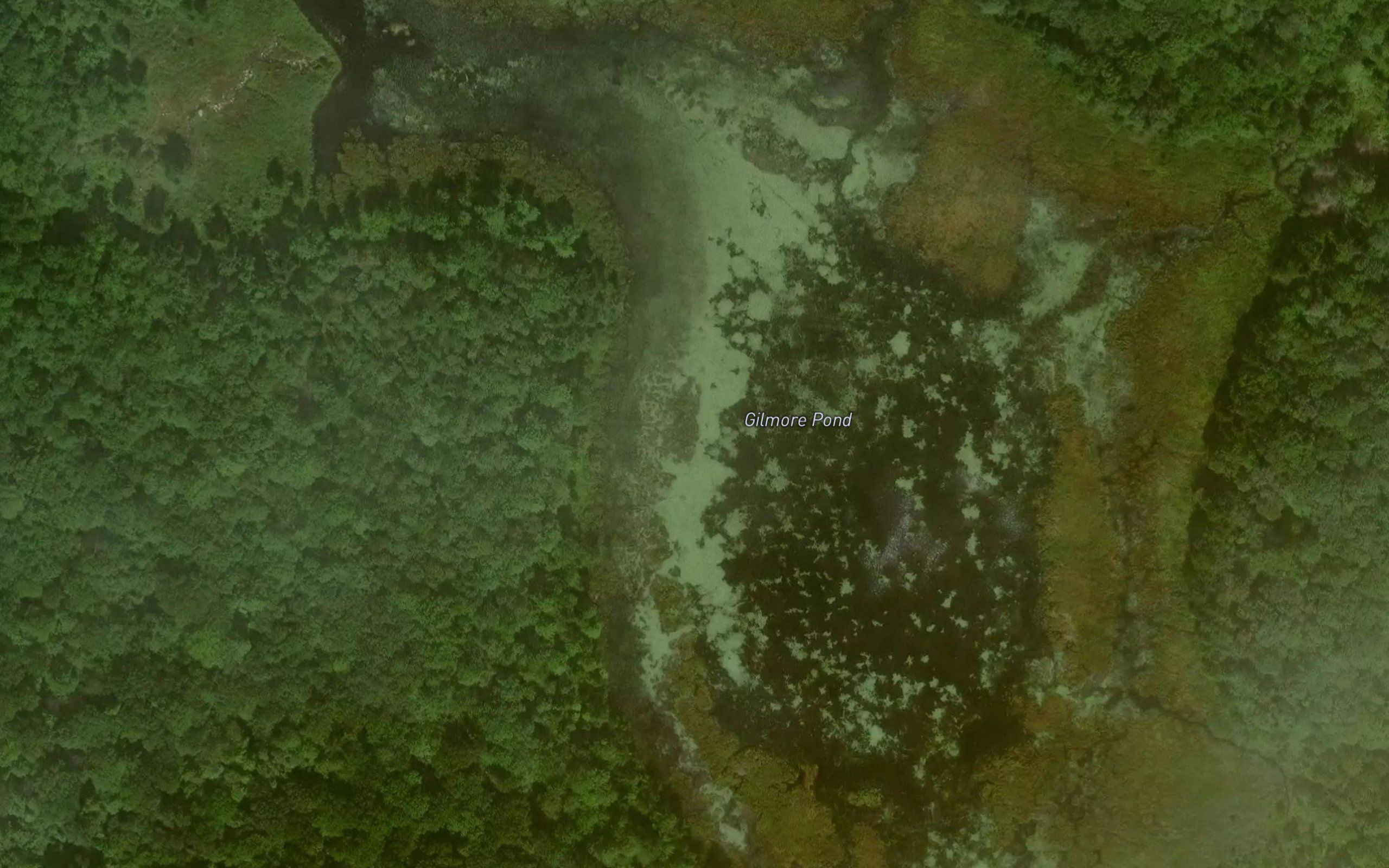 Gilmore Pond
