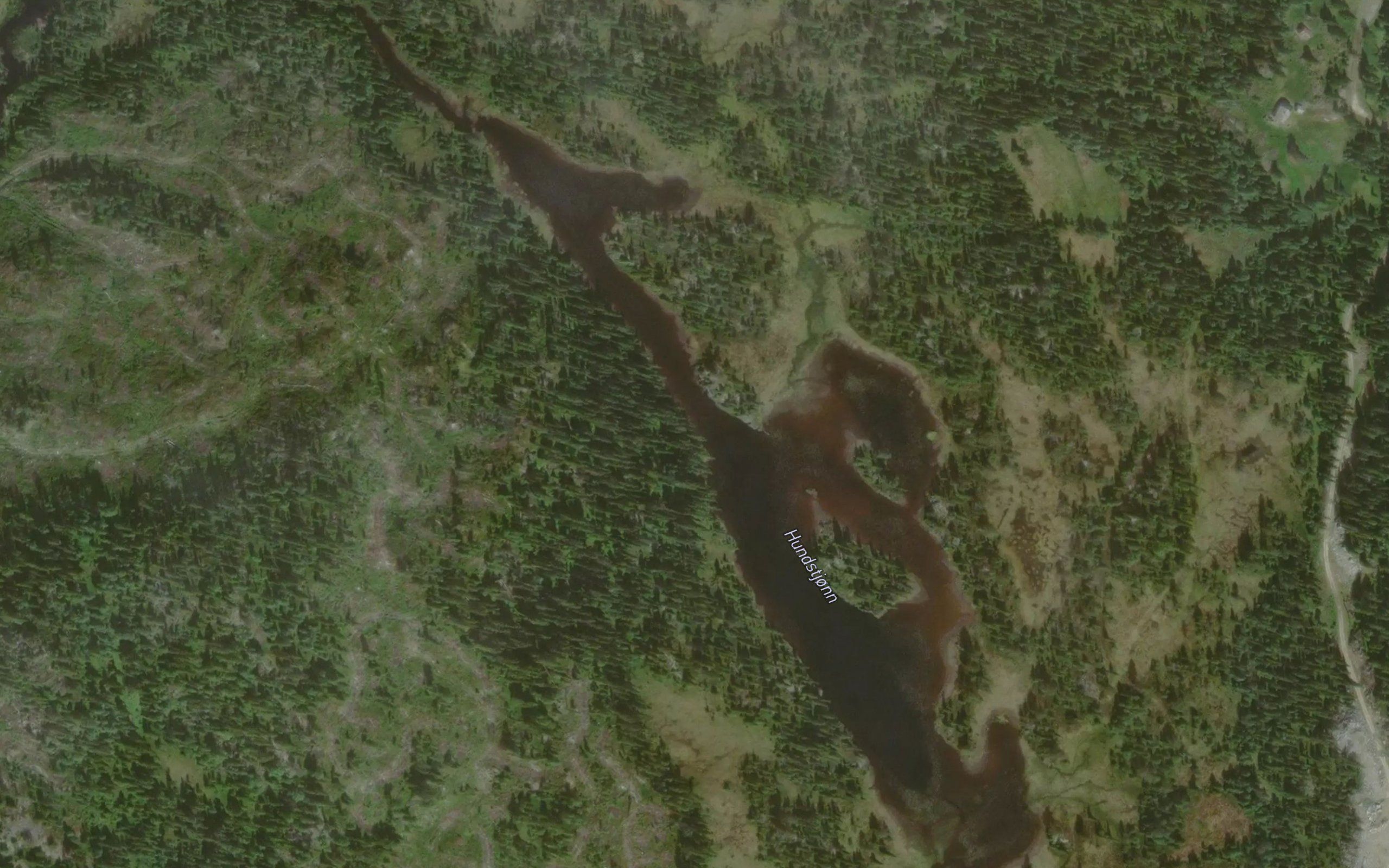 Hundstjorn