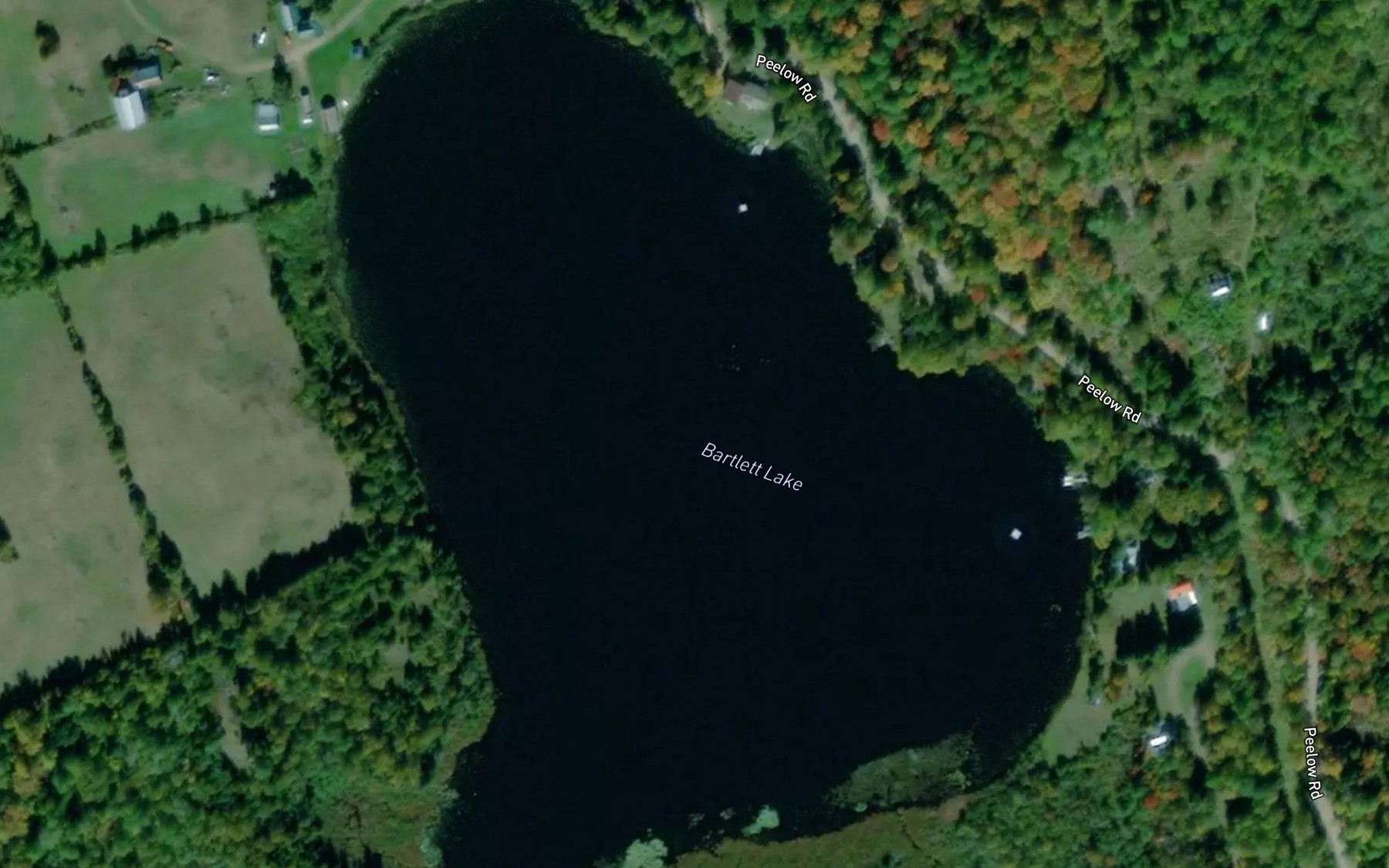 Satellite map of the Bartlett Lake
