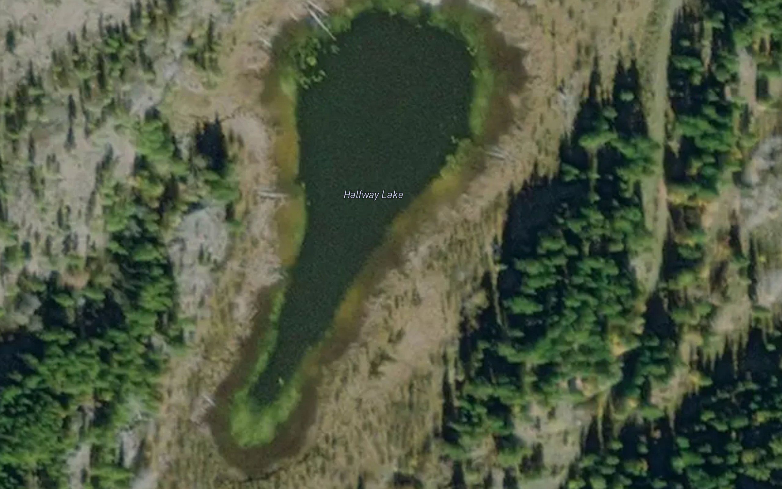 Halfway Lake