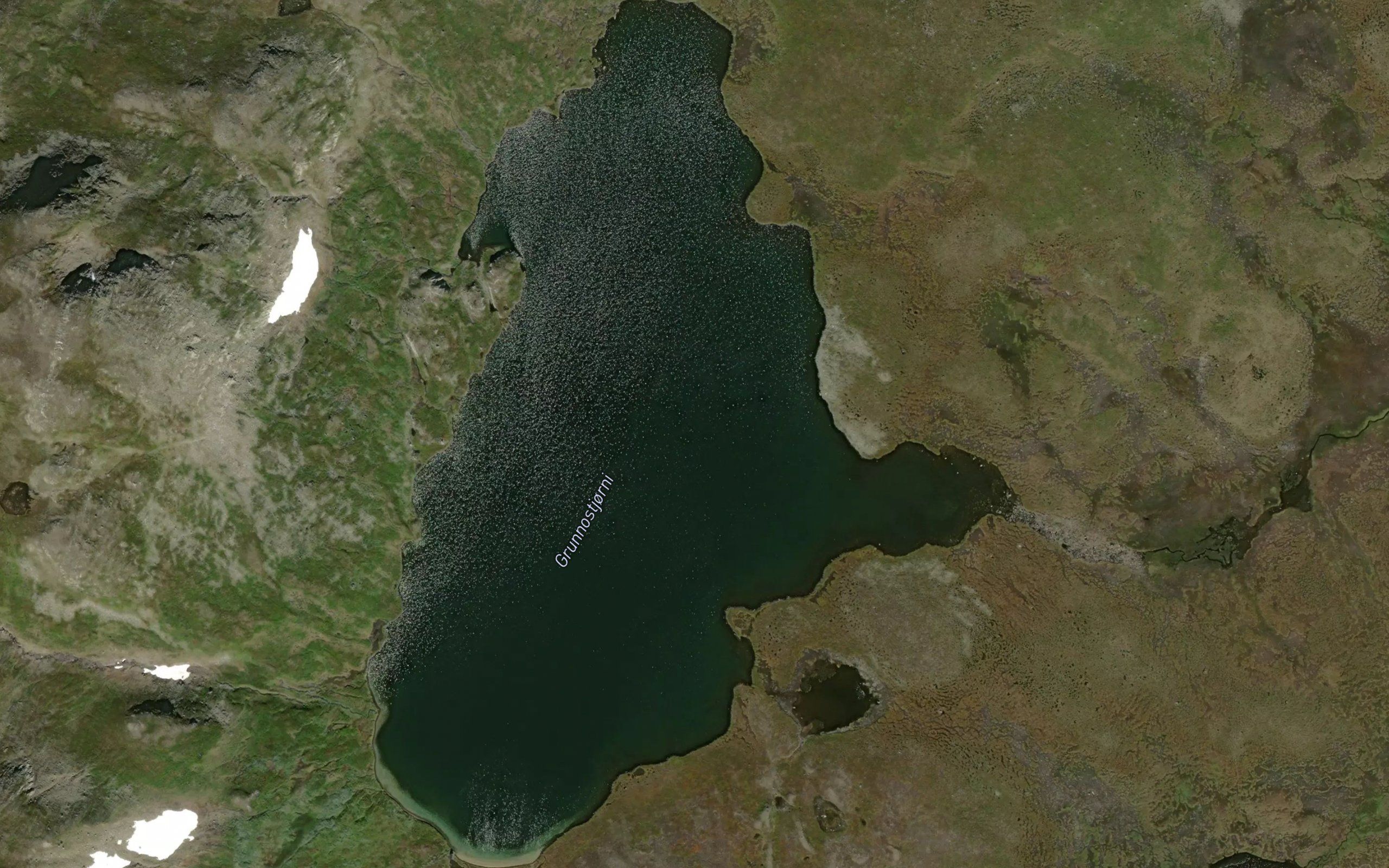 Grunnostjorni