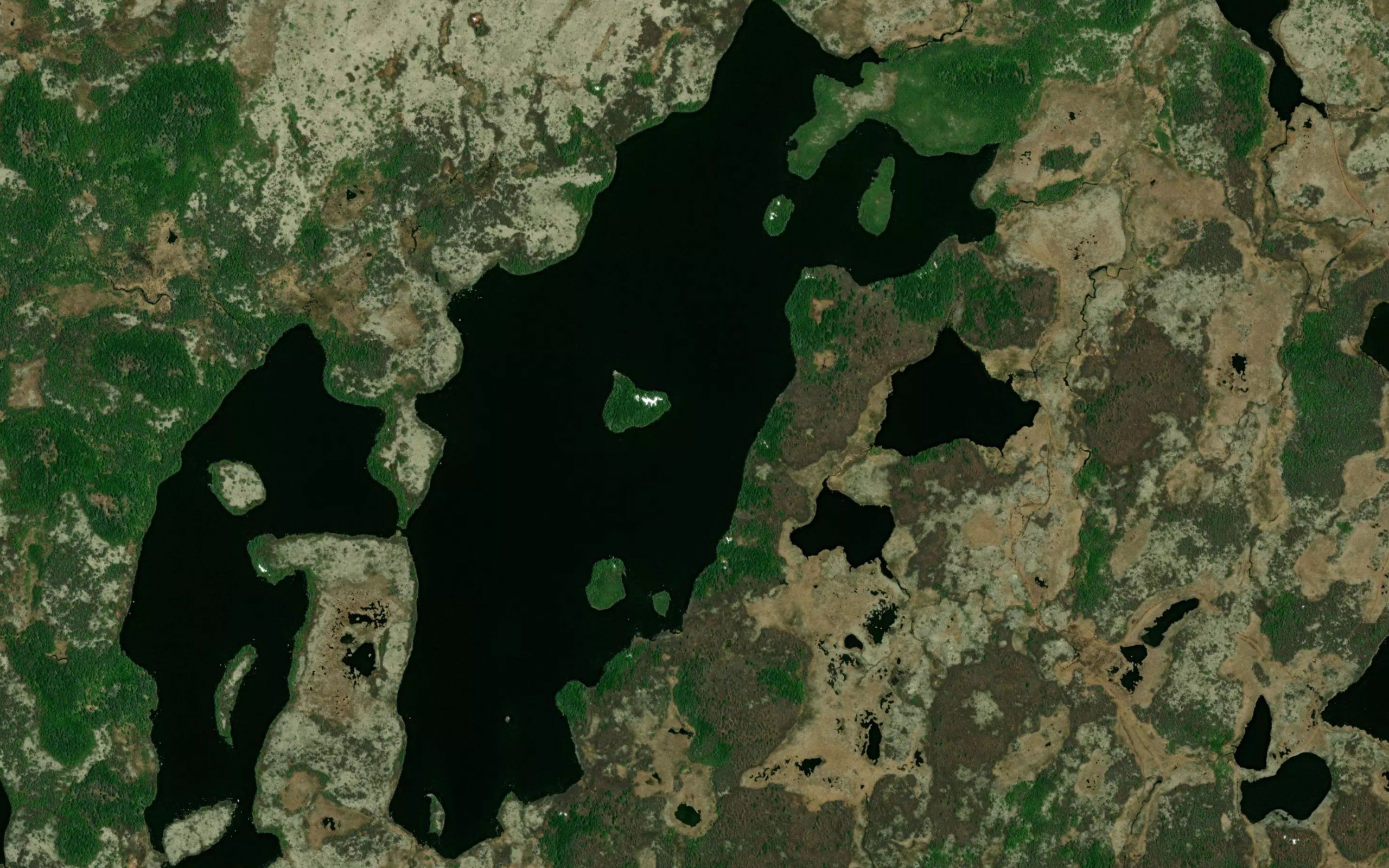 Mickeys Pond