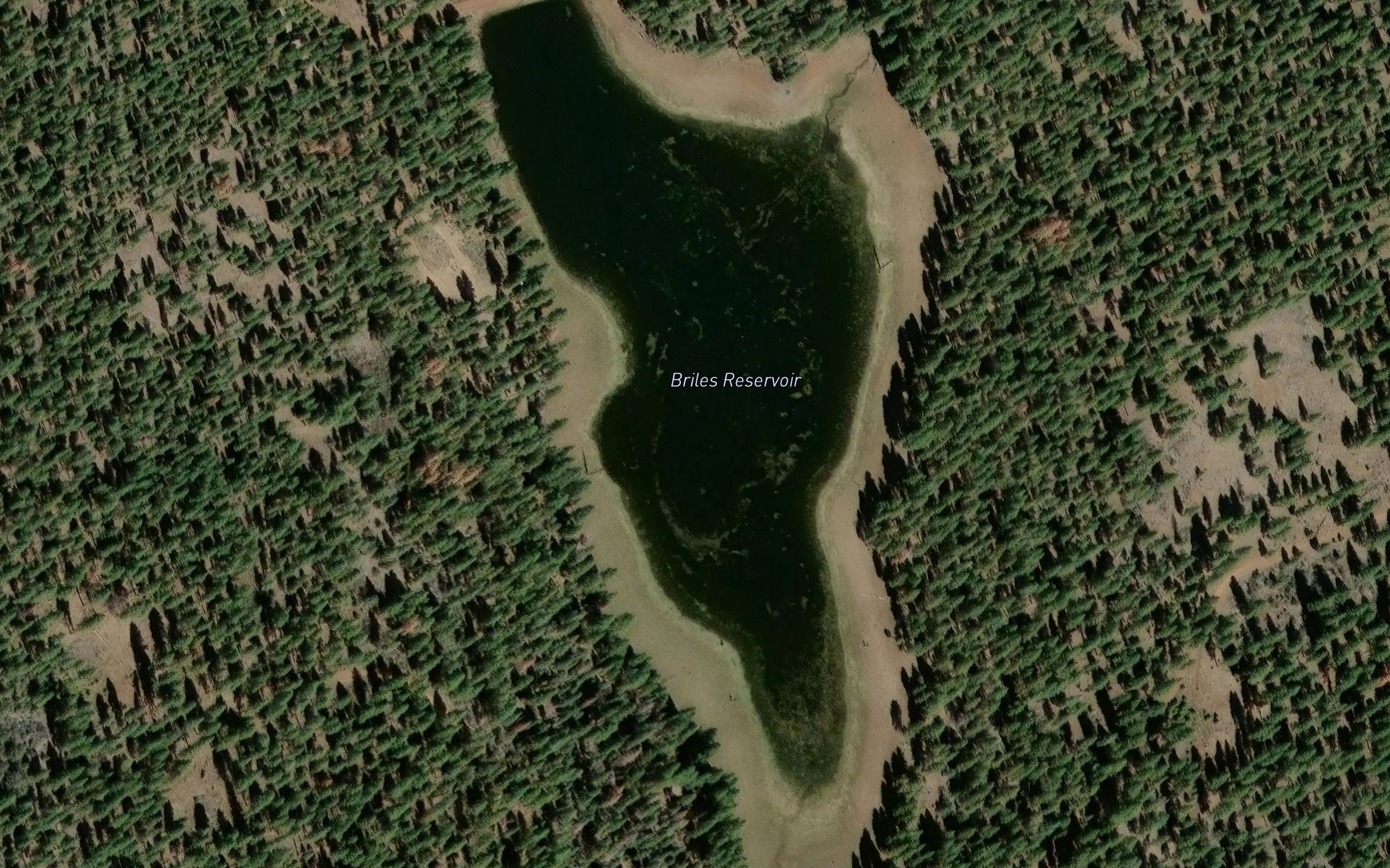 Satellite map of the Briles Reservoir