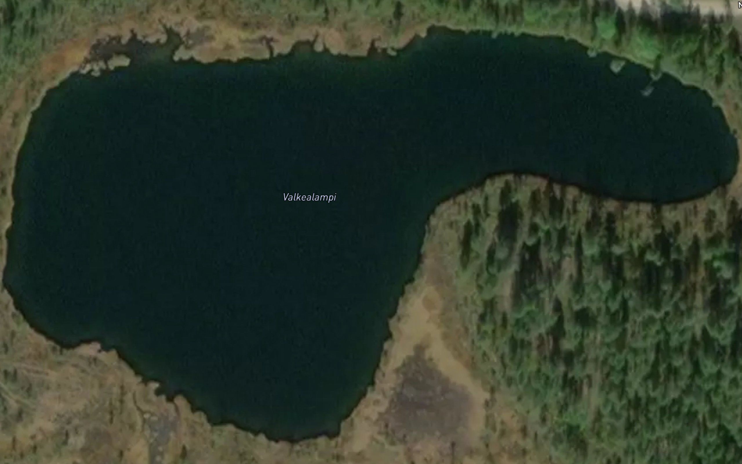 Valkealampi