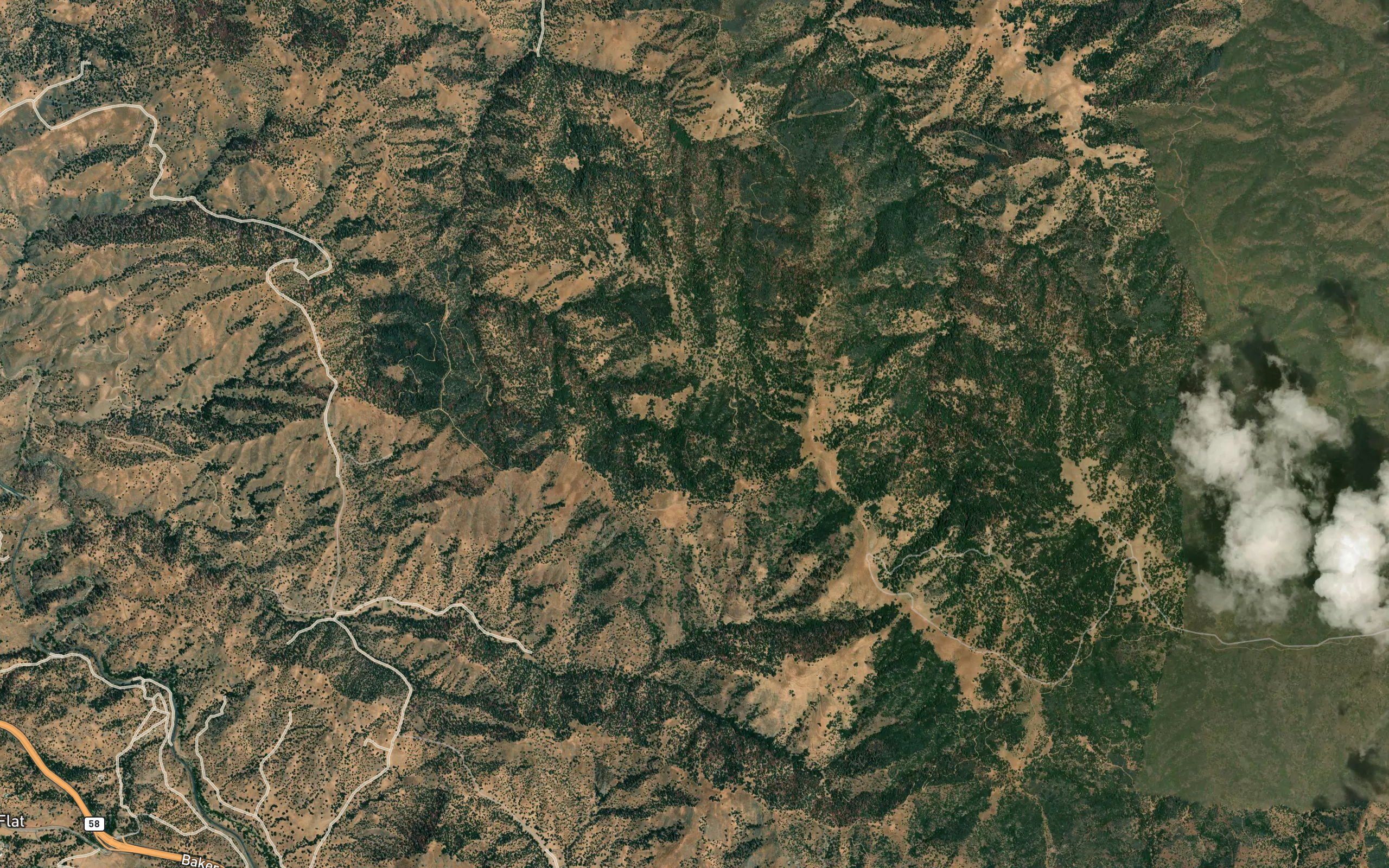 Mountain Oak Spring