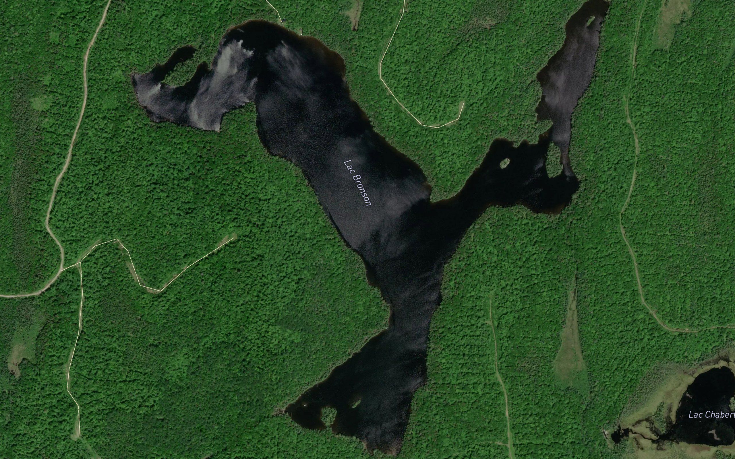 Lac Bronson
