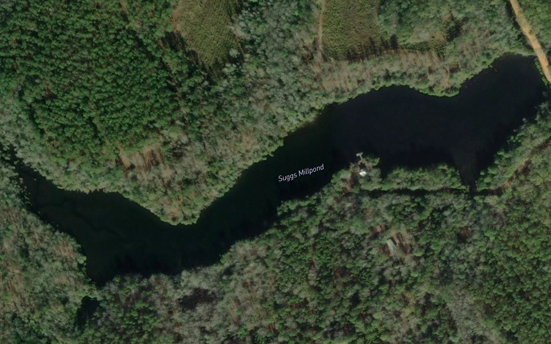 Satellite map of the Suggs Millpond