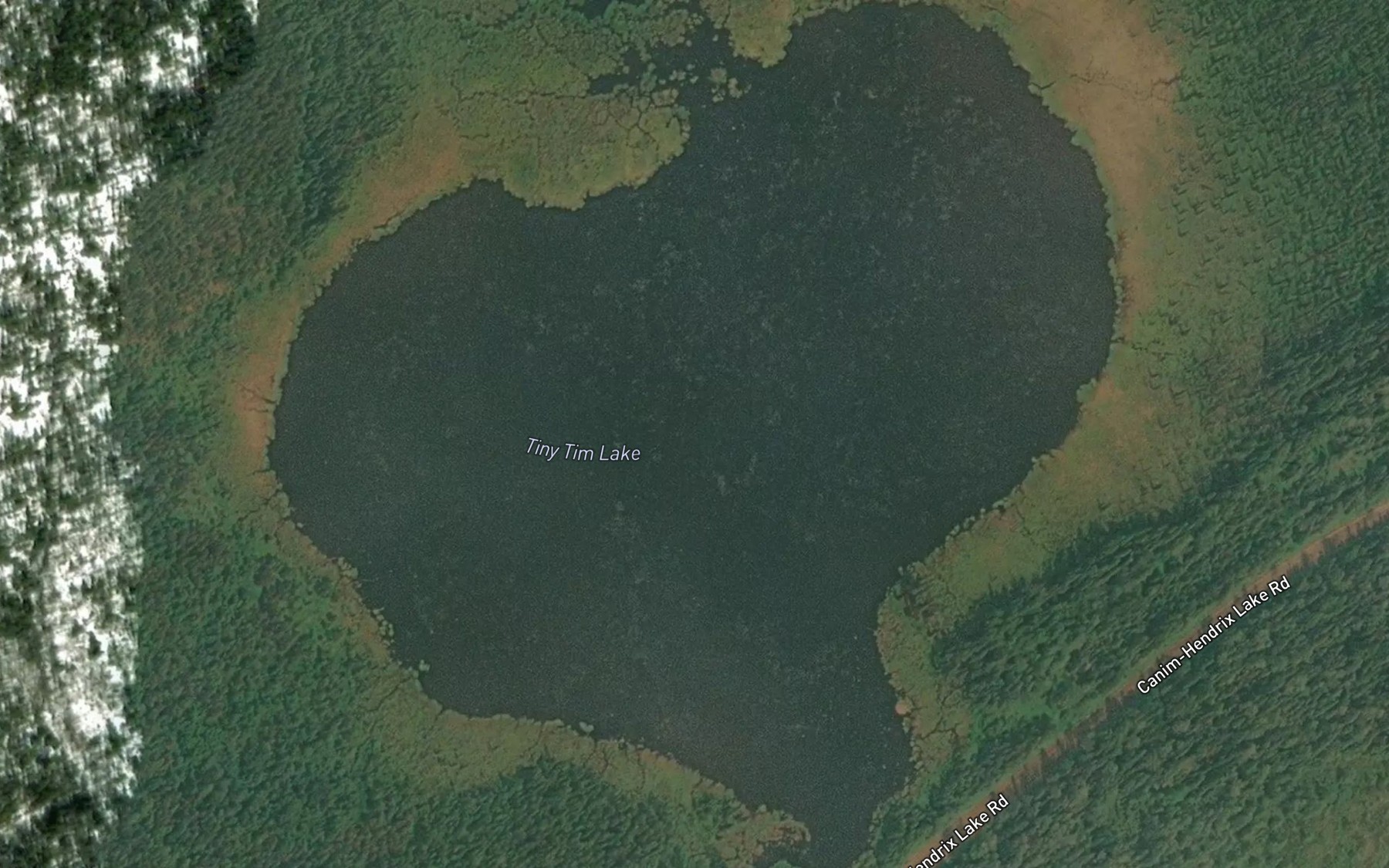 Satellite map of the Tiny Tim Lake