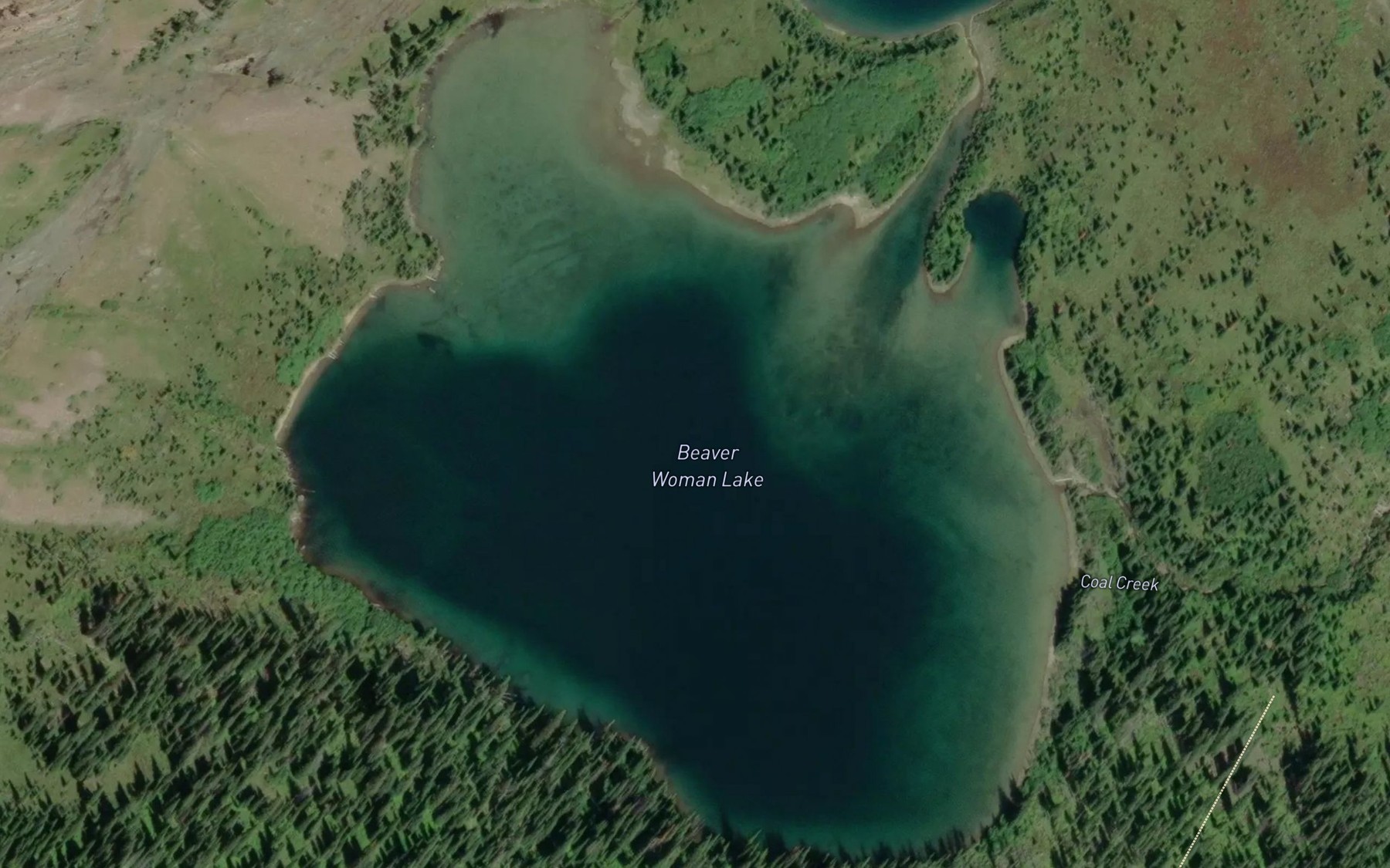 Satellite map of the Beaver Woman Lake