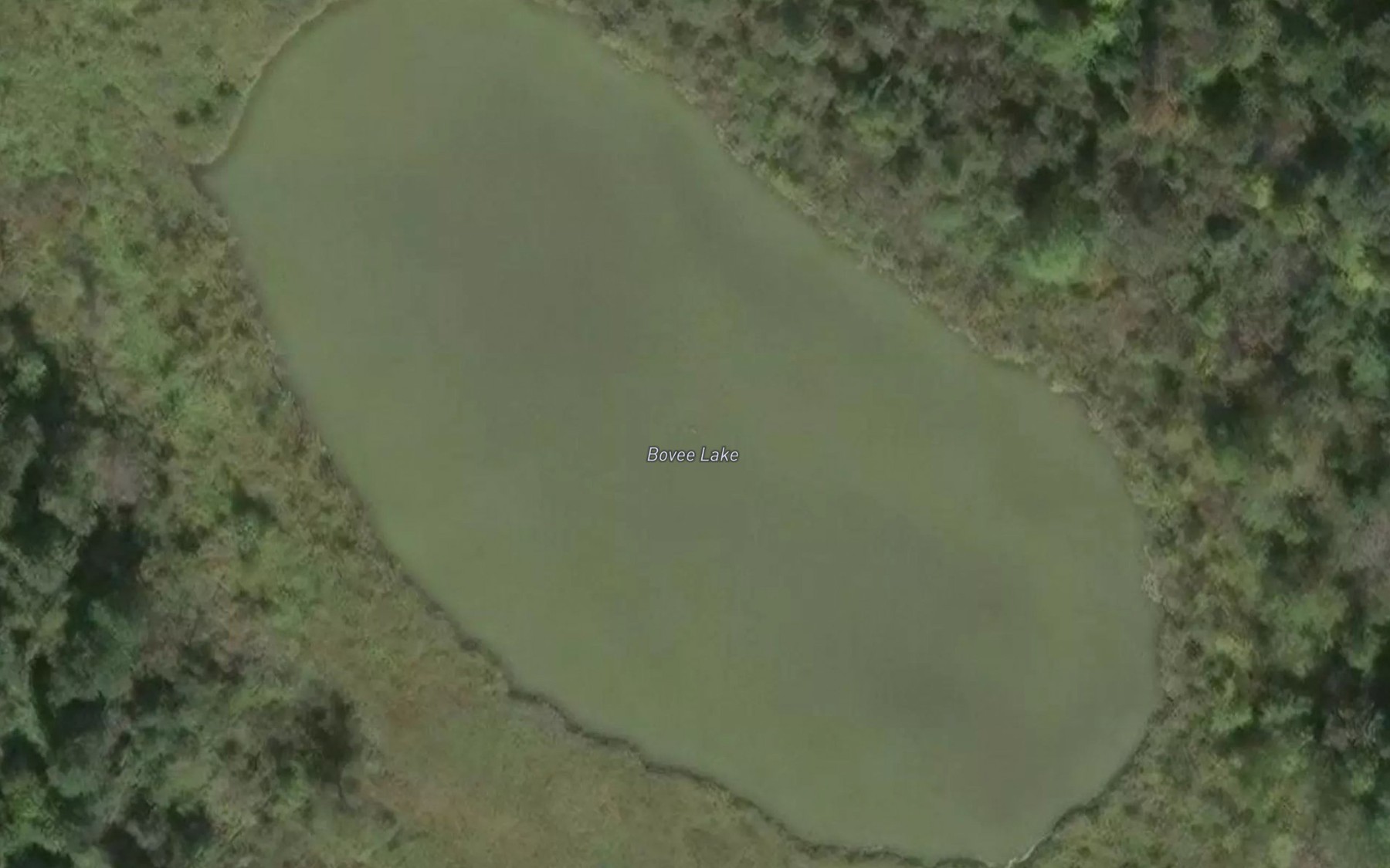 Satellite map of the Bovee Lake