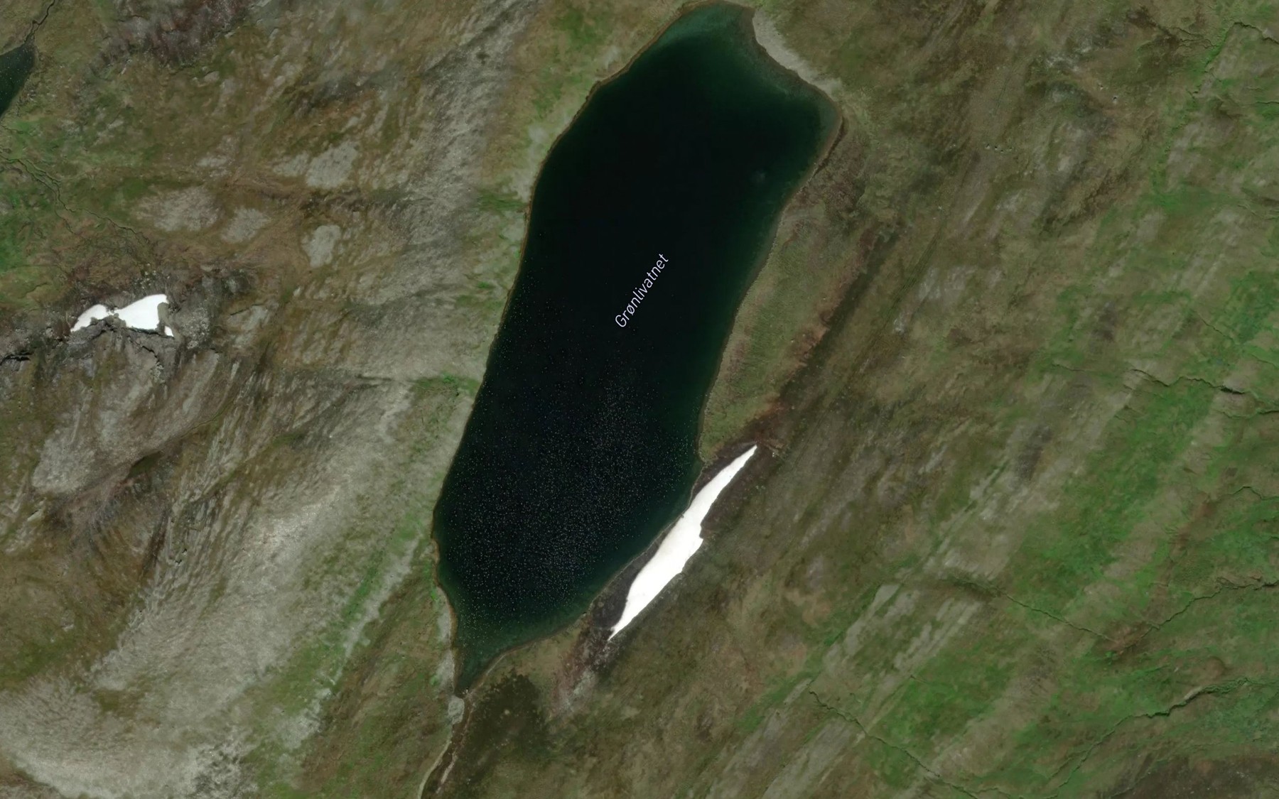 Satellite map of the Gronlivatnet