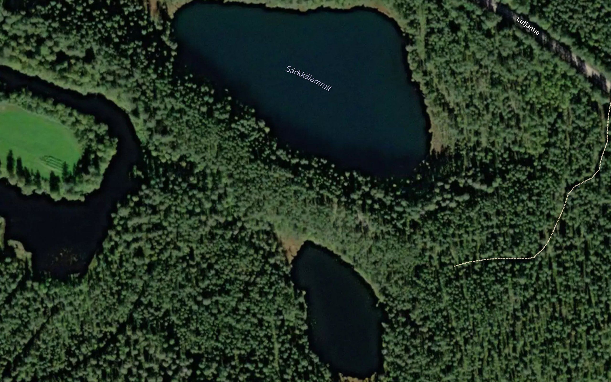 Sarkkalammit