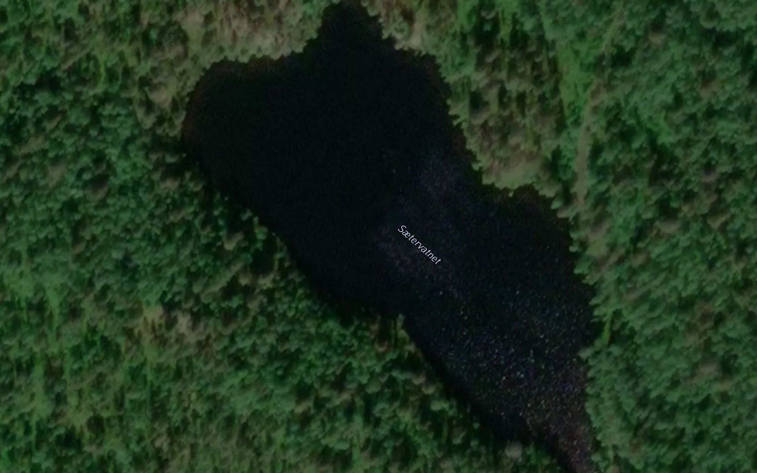 Fisktjorna