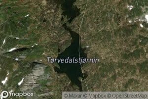 Torvedalstjornin