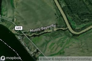 Muddy Bayou