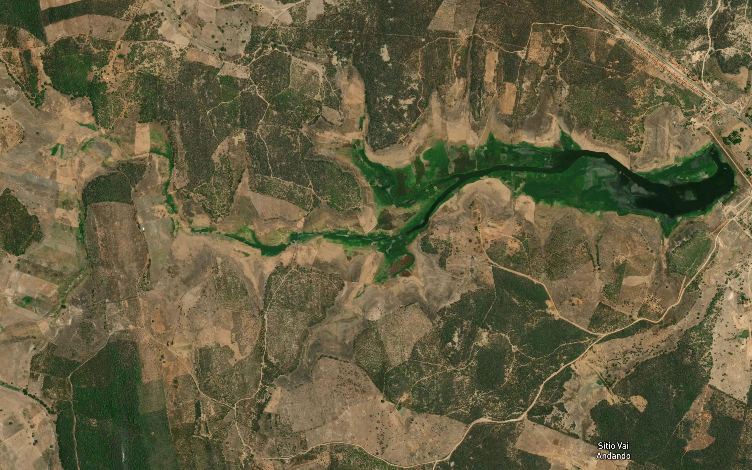 Acude Nova Floresta