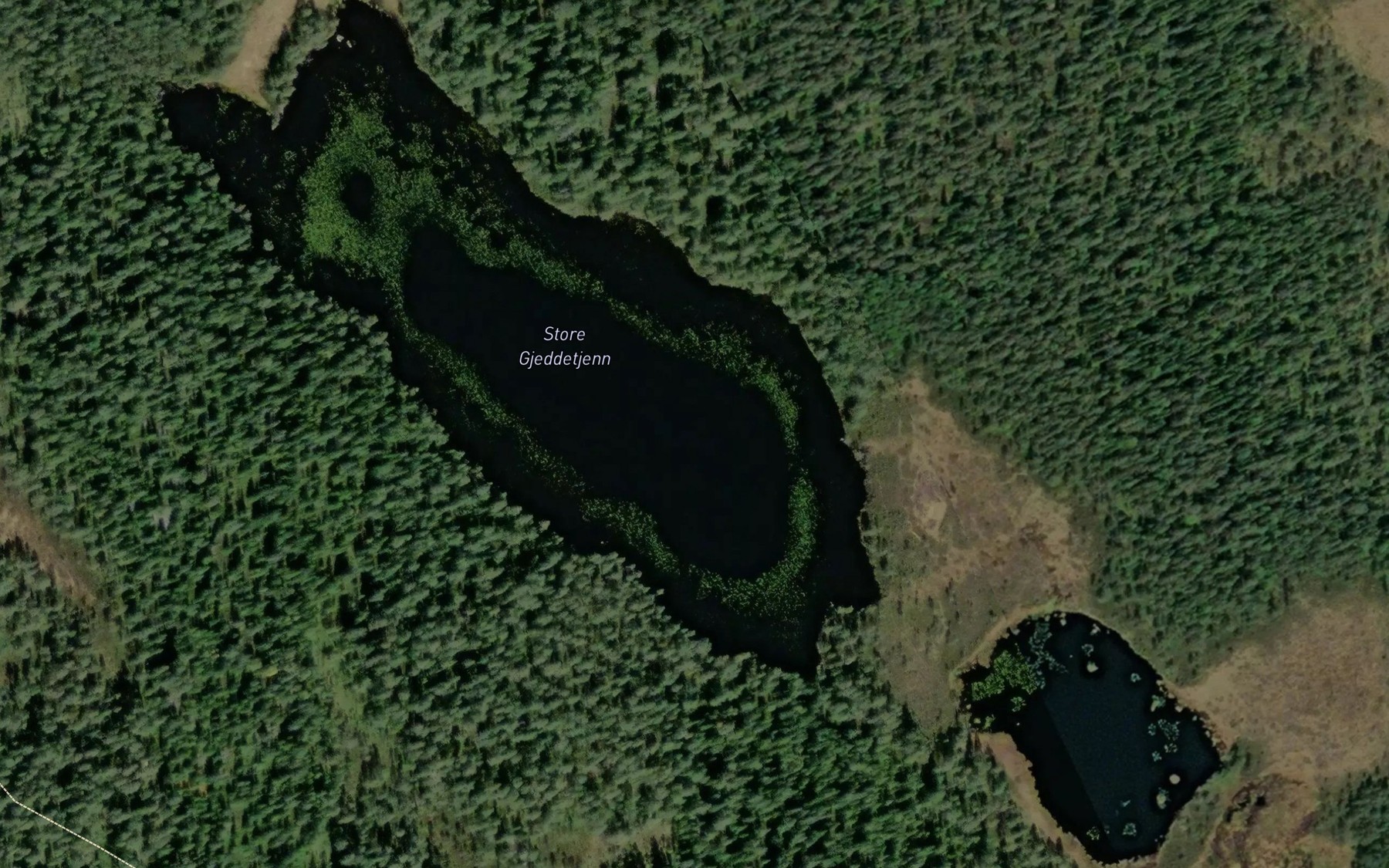 Satellite map of the Gjeddetjern,store