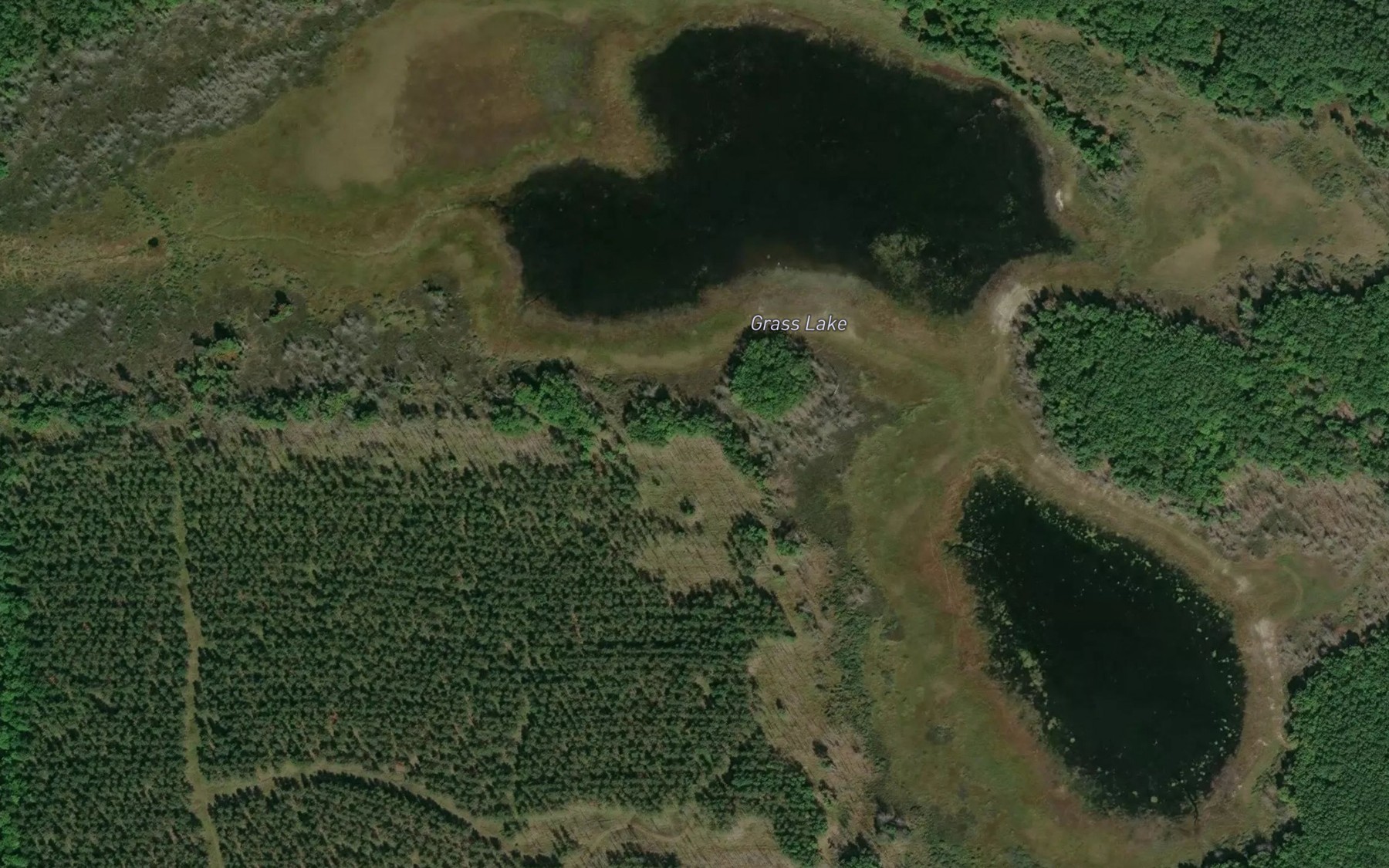 Satellite map of the Grass Lake
