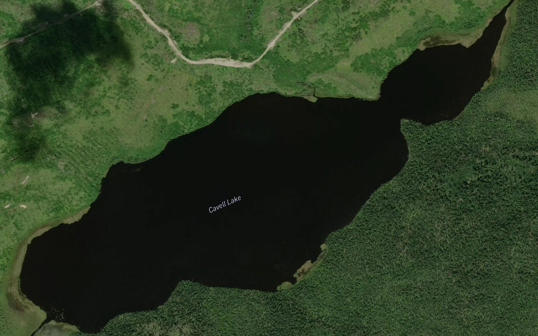 Satellite map of the Cavell Lake