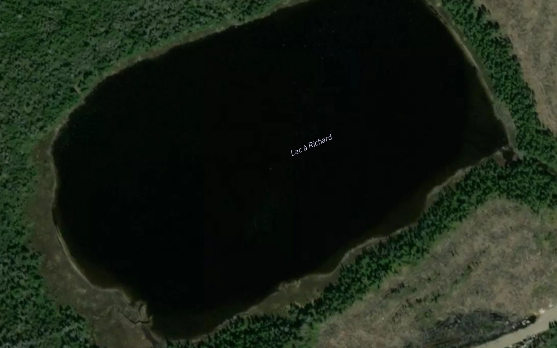 Satellite map of the Lac a Richard