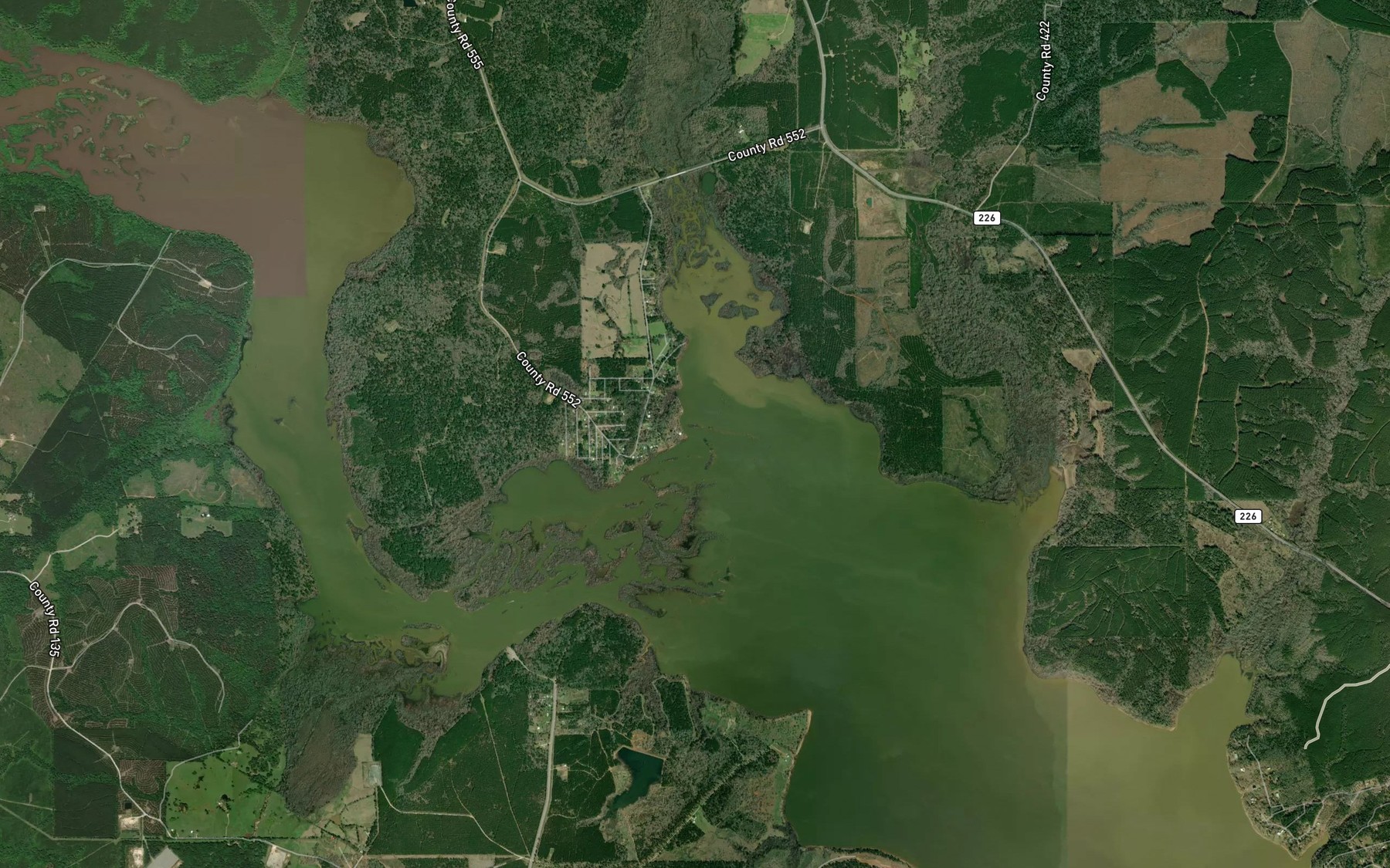 Satellite map of the Angelina River