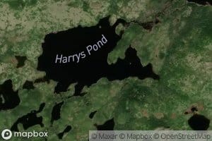 Harrys Pond