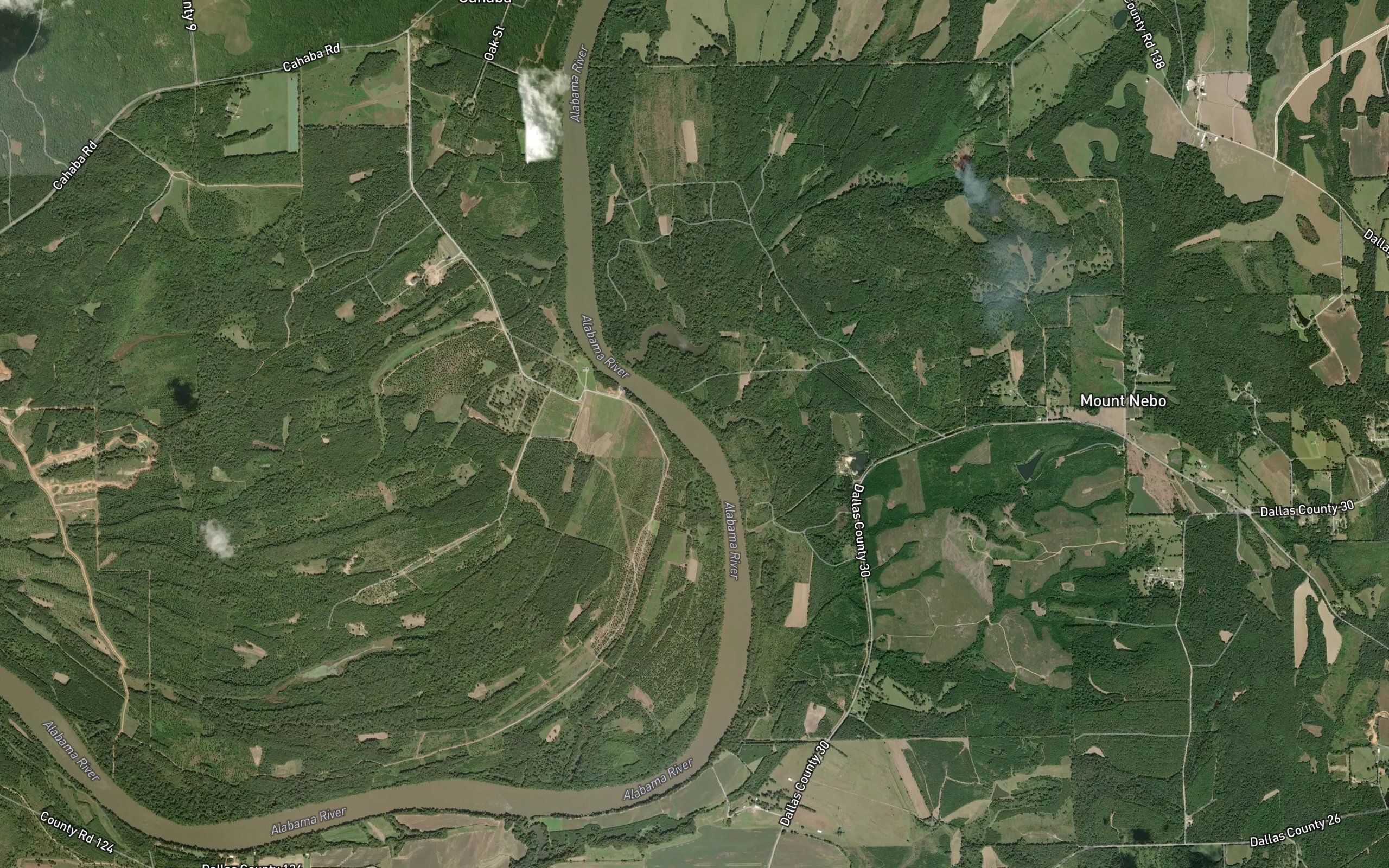 Reese Branch