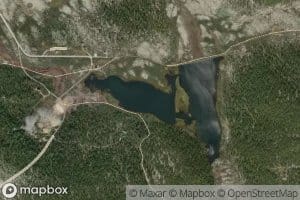 Nygruvtjonne