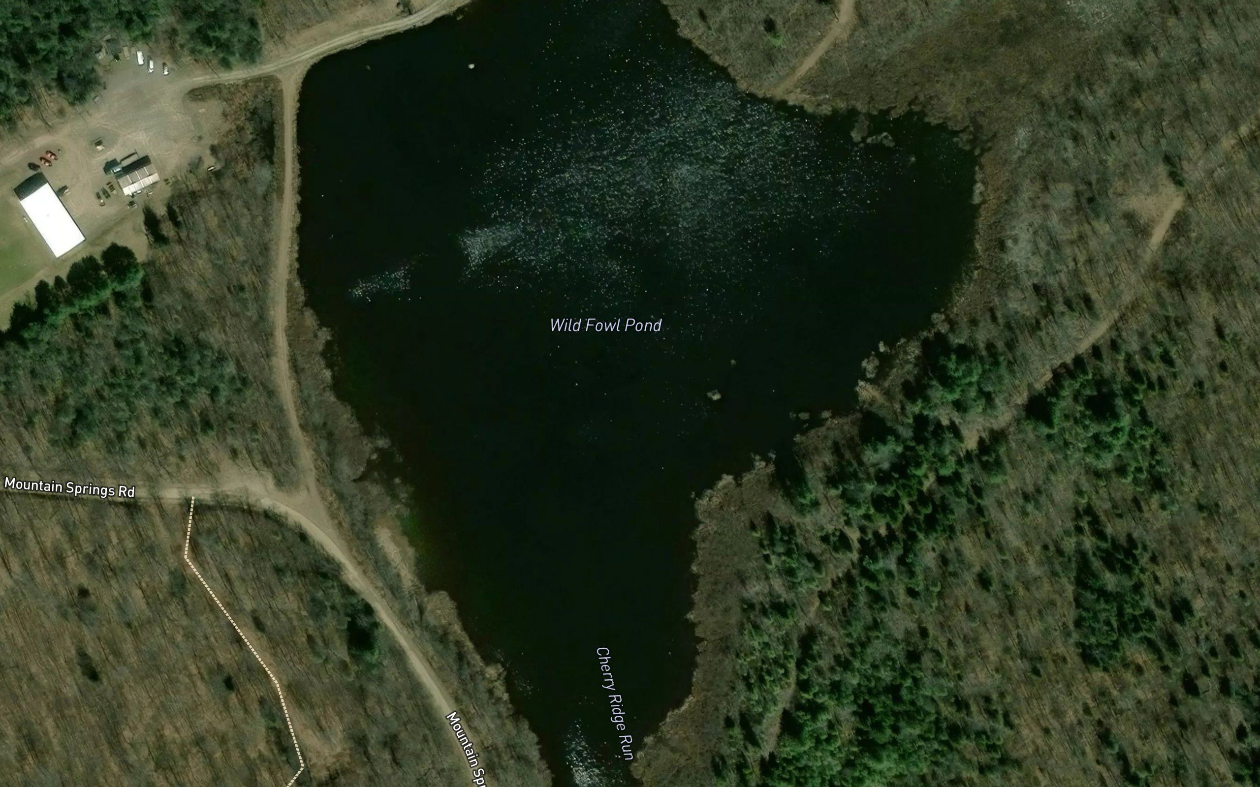 Wild Fowl Pond