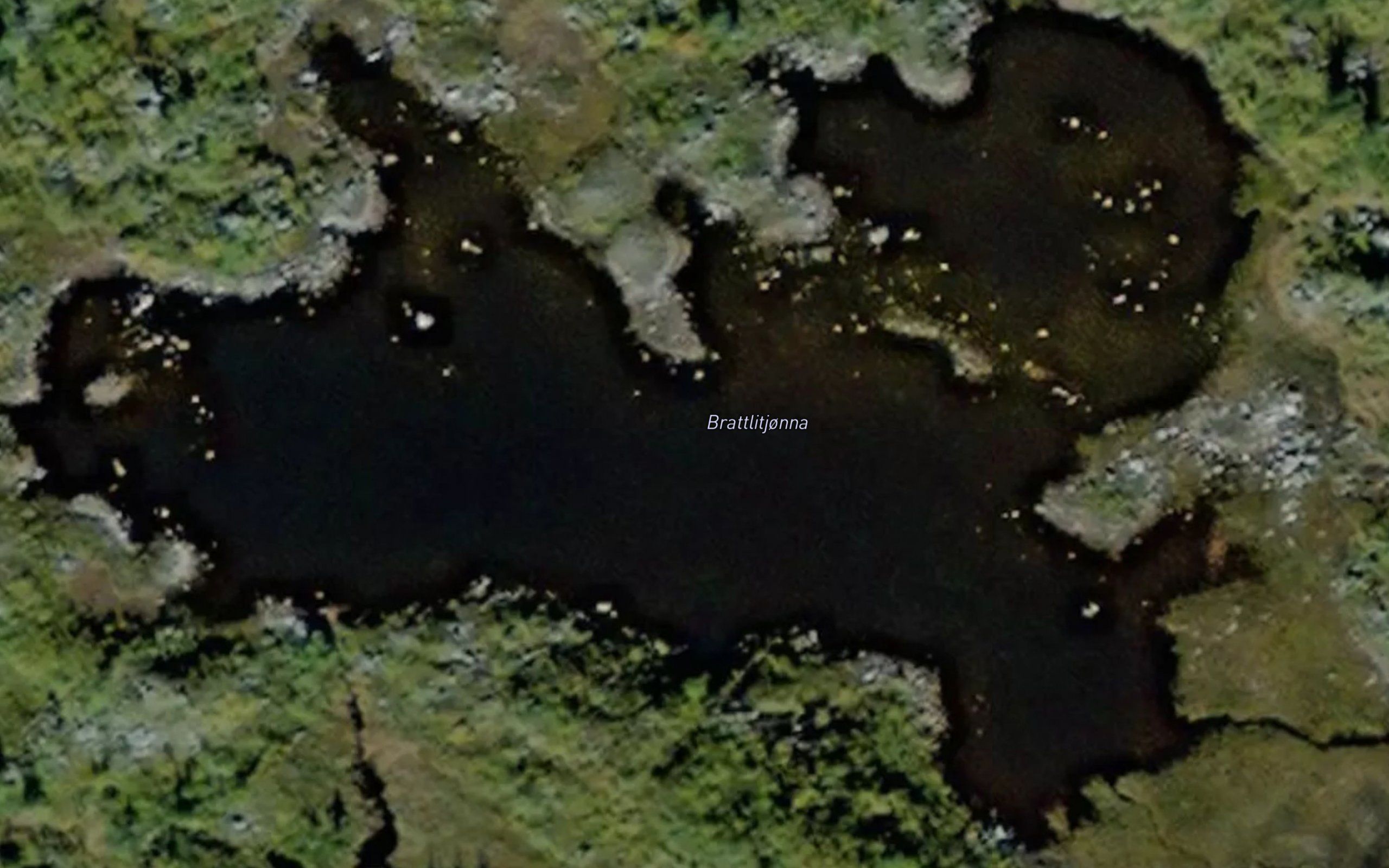 Brattlitjorna