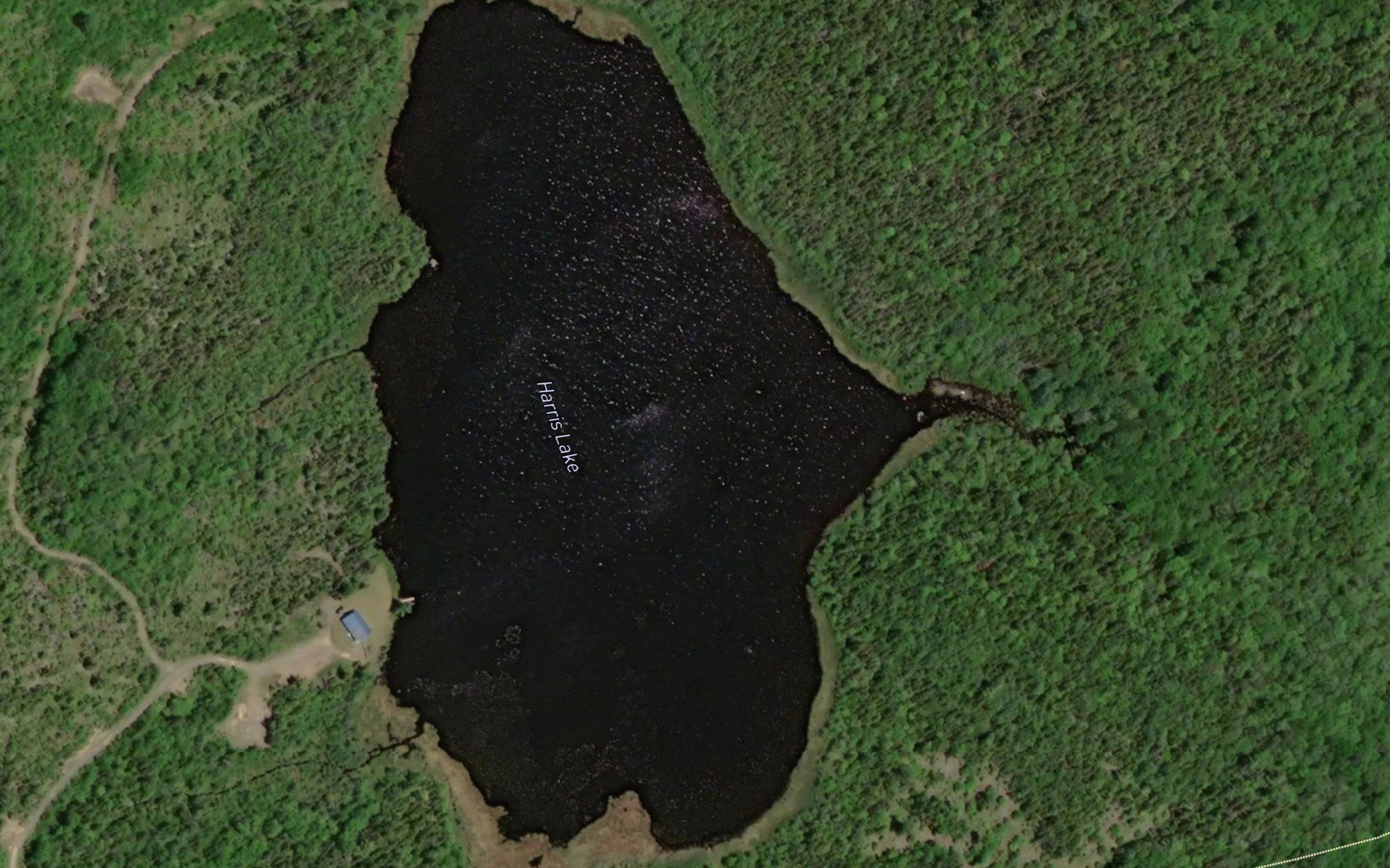 Harris Lake